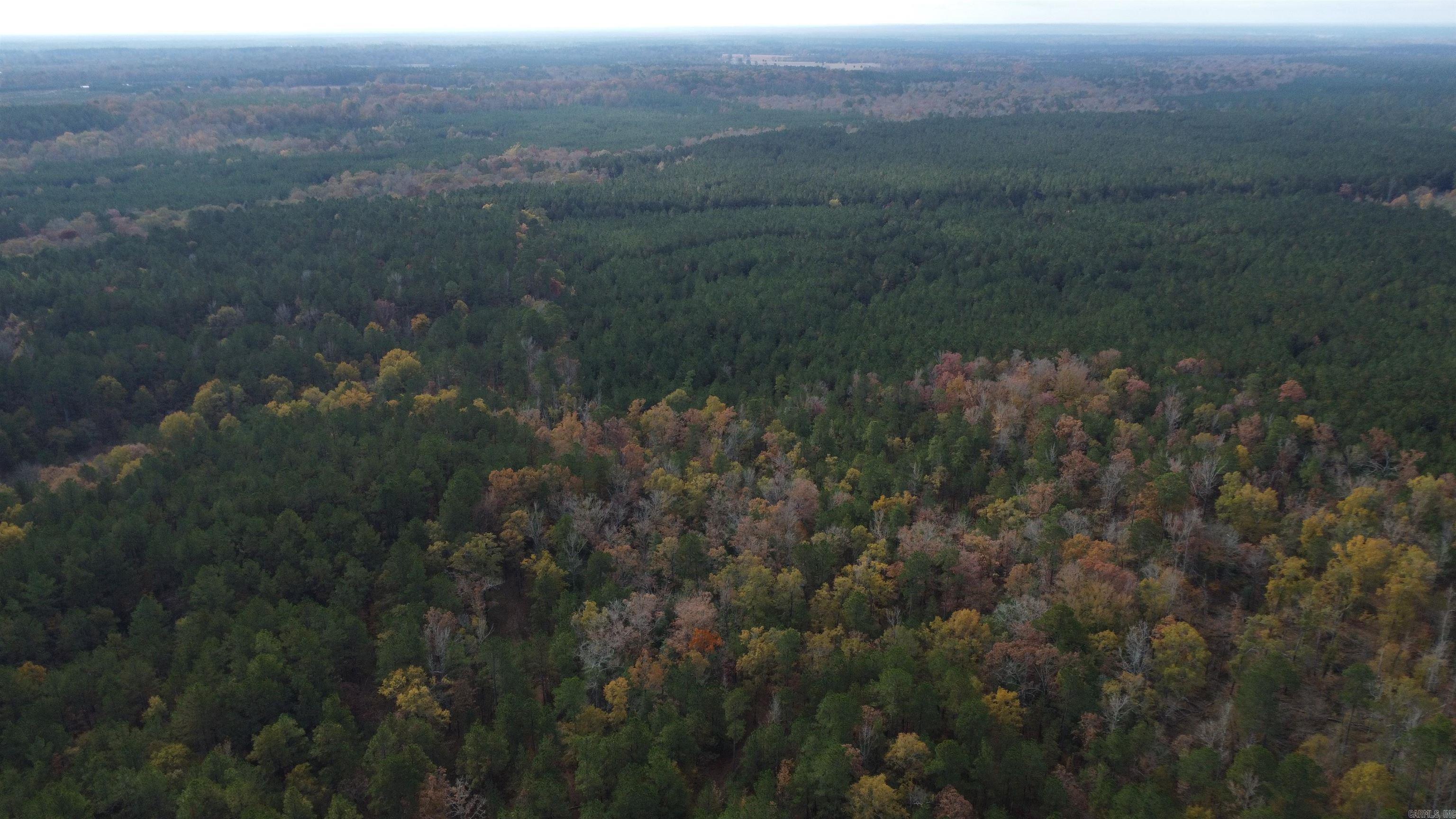 000 Hwy 51, Lot#WP002  Joan, AR