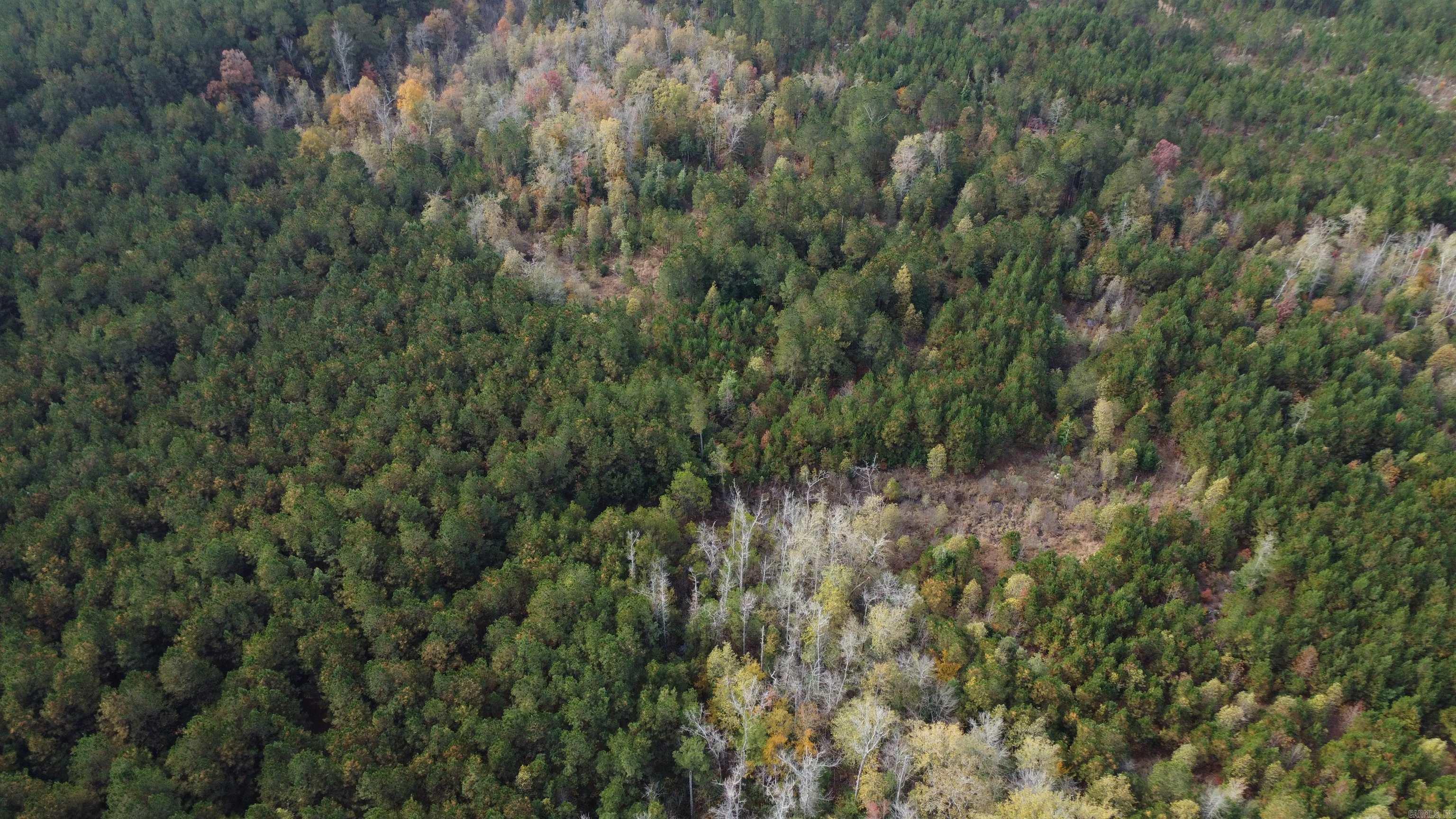 000 Hwy 51, Lot#WP002  Joan, AR