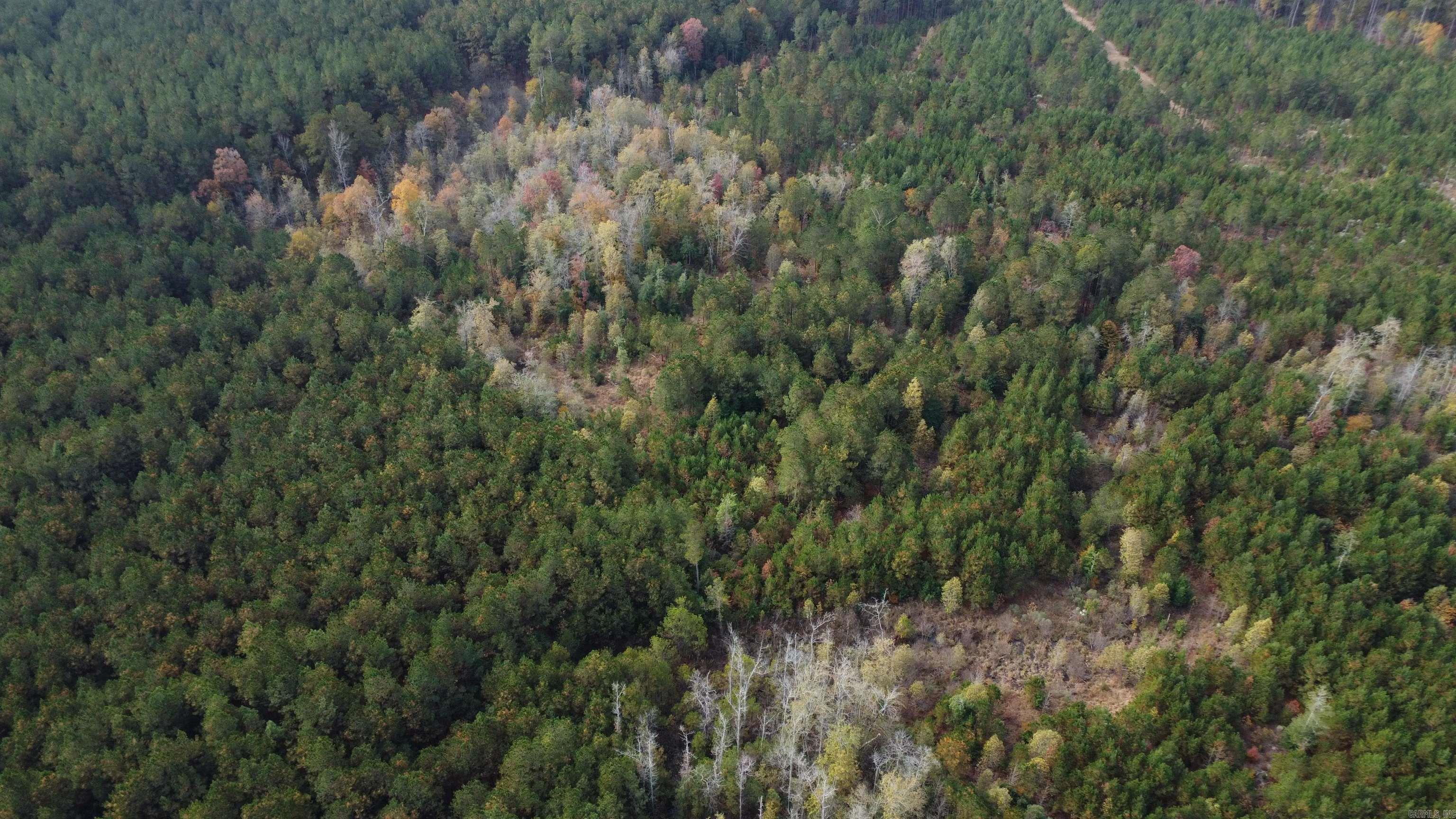 000 Hwy 51, Lot#WP002  Joan, AR