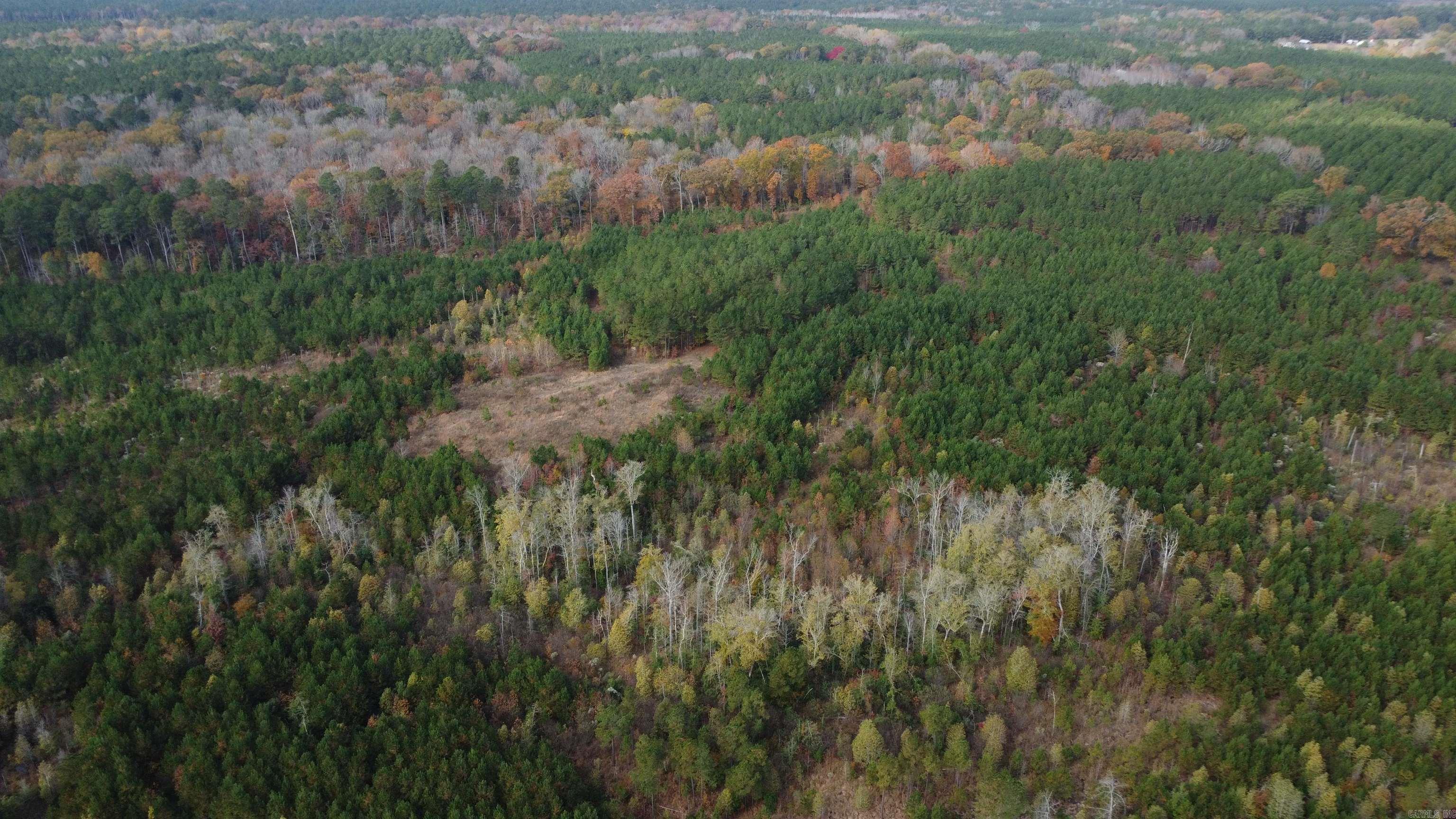 000 Hwy 51, Lot#WP002  Joan, AR