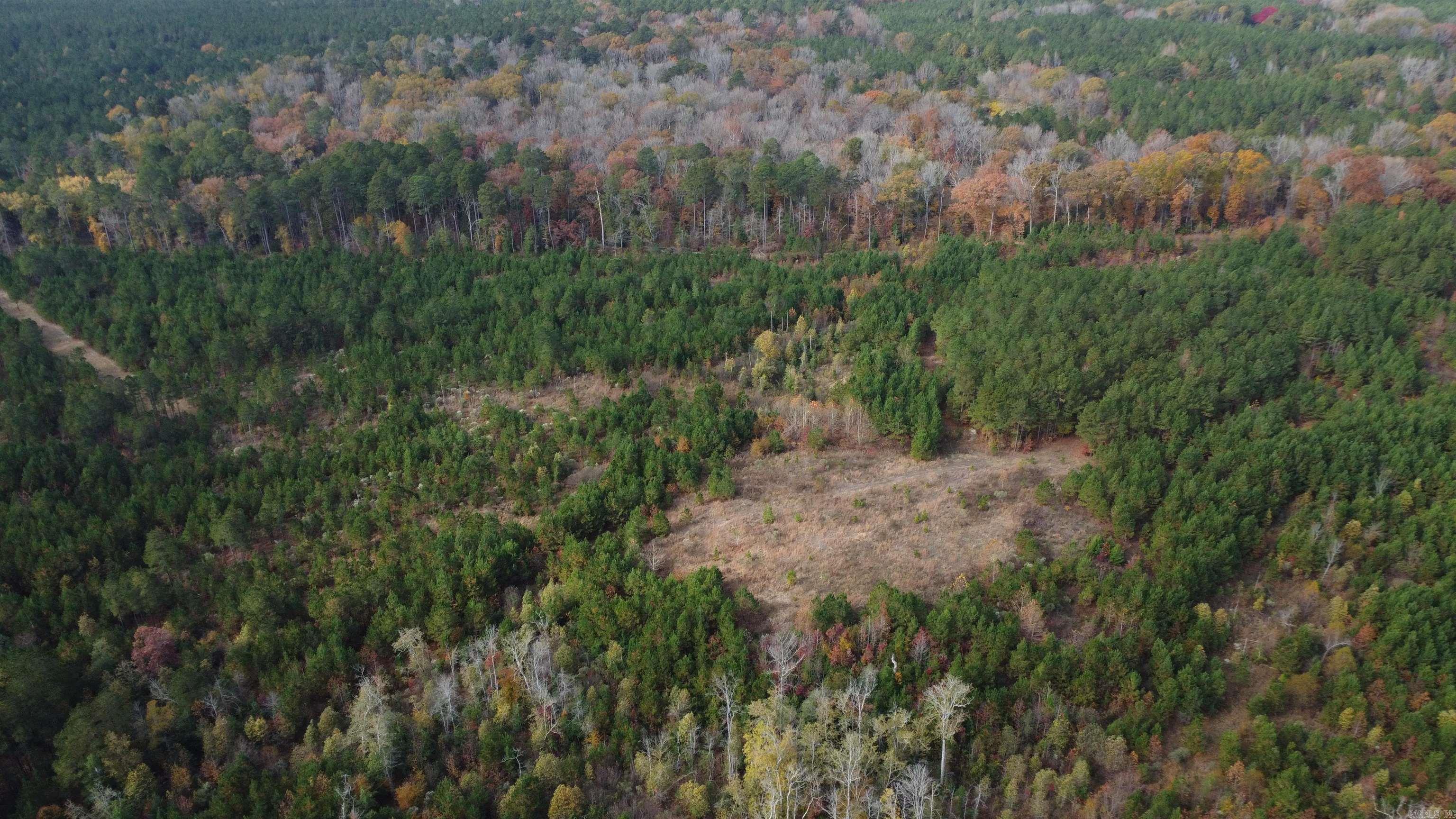 000 Hwy 51, Lot#WP002  Joan, AR