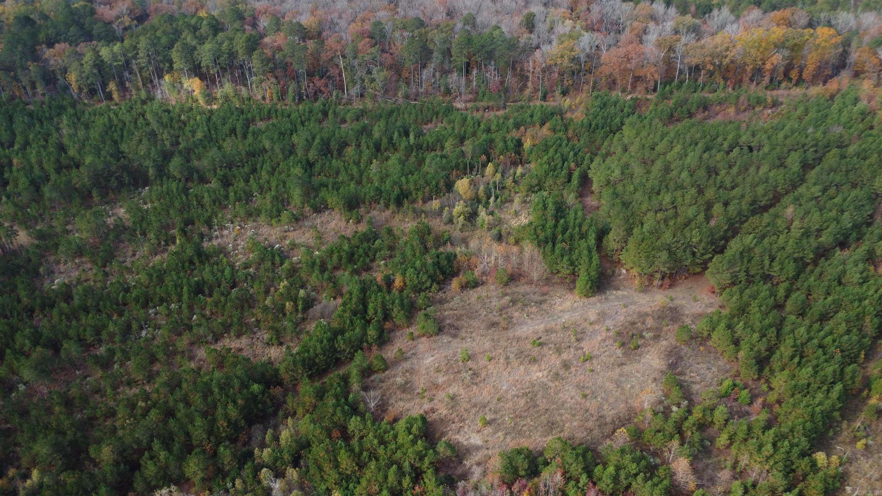 000 Hwy 51, Lot#WP002  Joan, AR