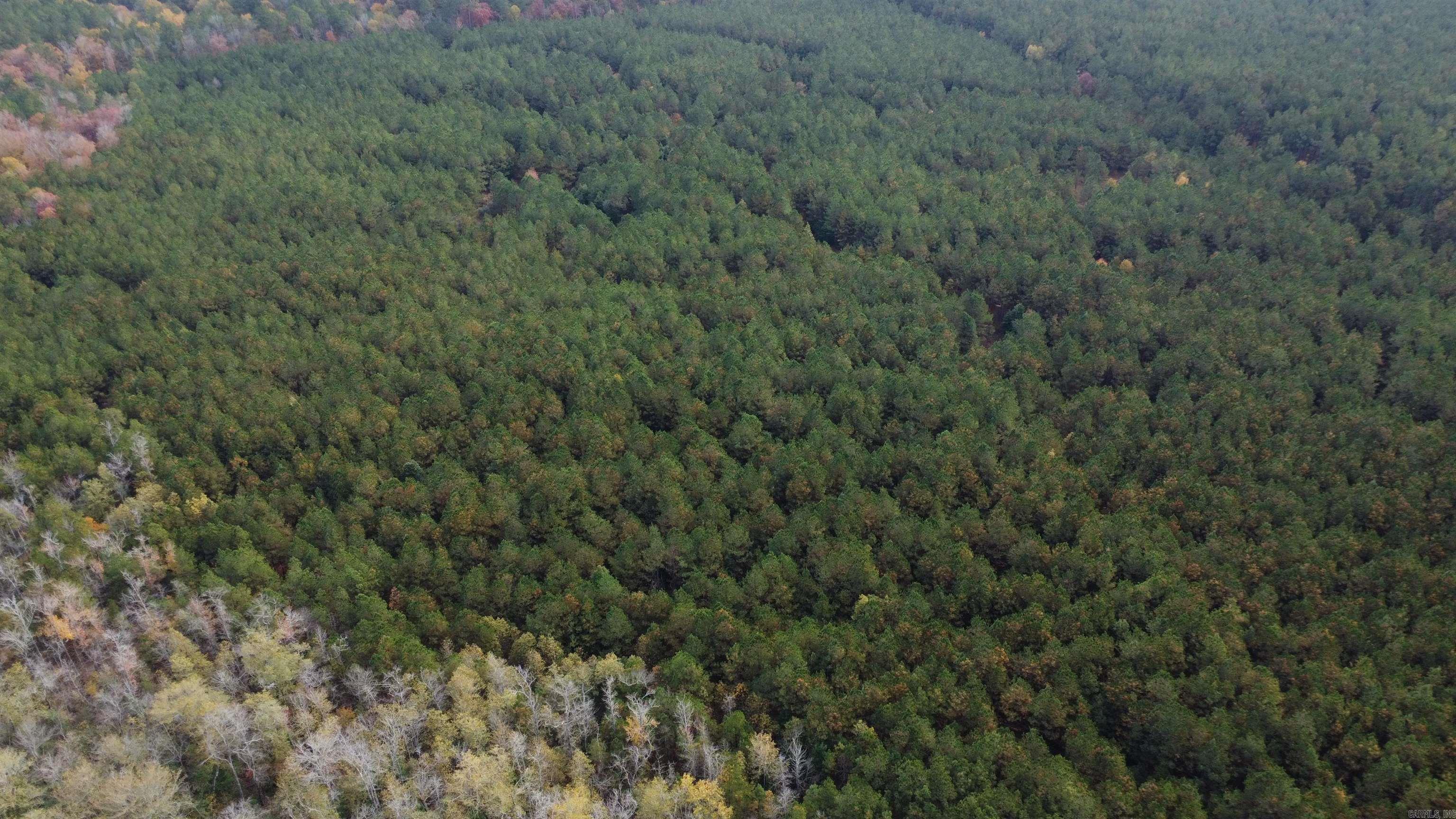 000 Hwy 51, Lot#WP002  Joan, AR