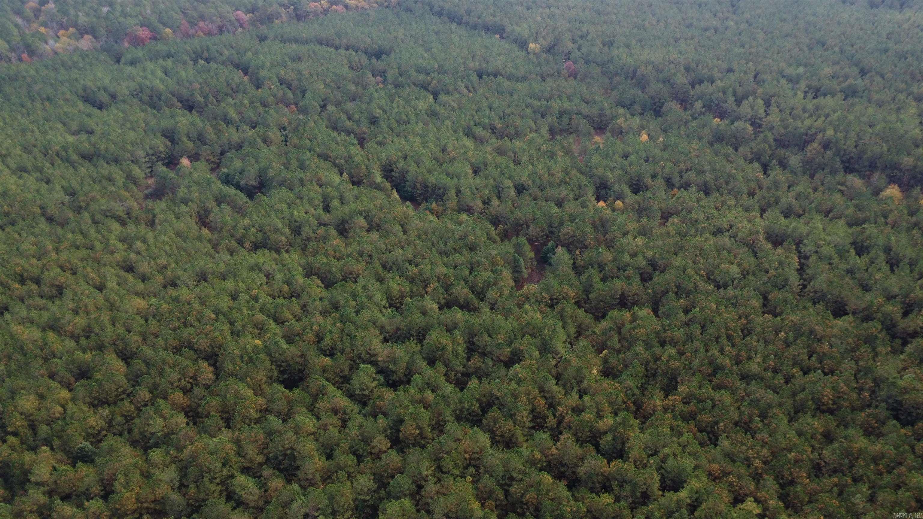 000 Hwy 51, Lot#WP002  Joan, AR