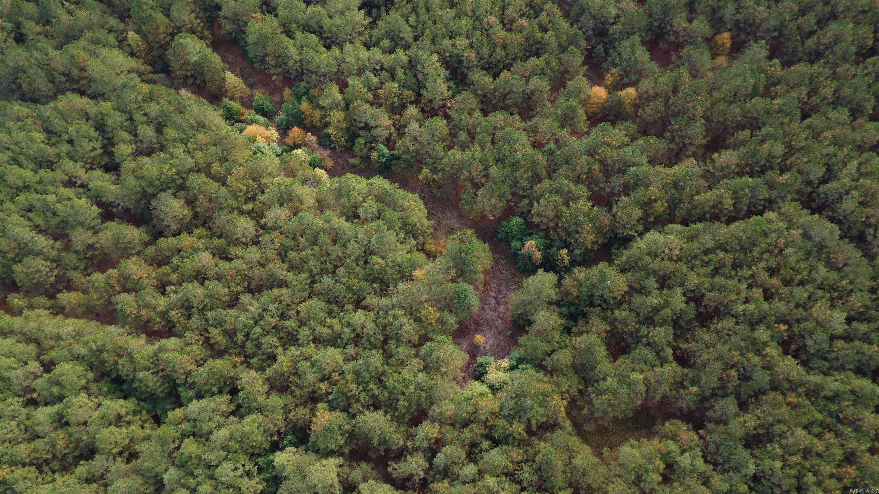 000 Hwy 51, Lot#WP002  Joan, AR