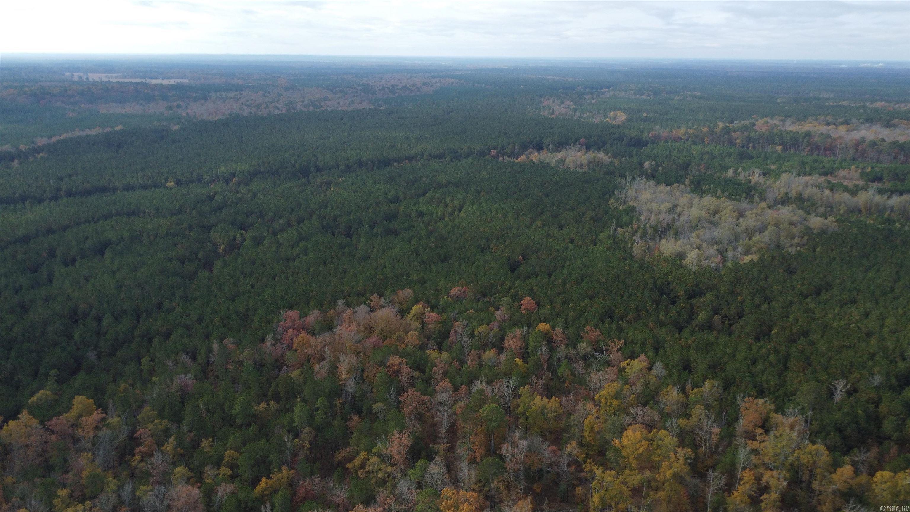 000 Hwy 51, Lot#WP002  Joan, AR