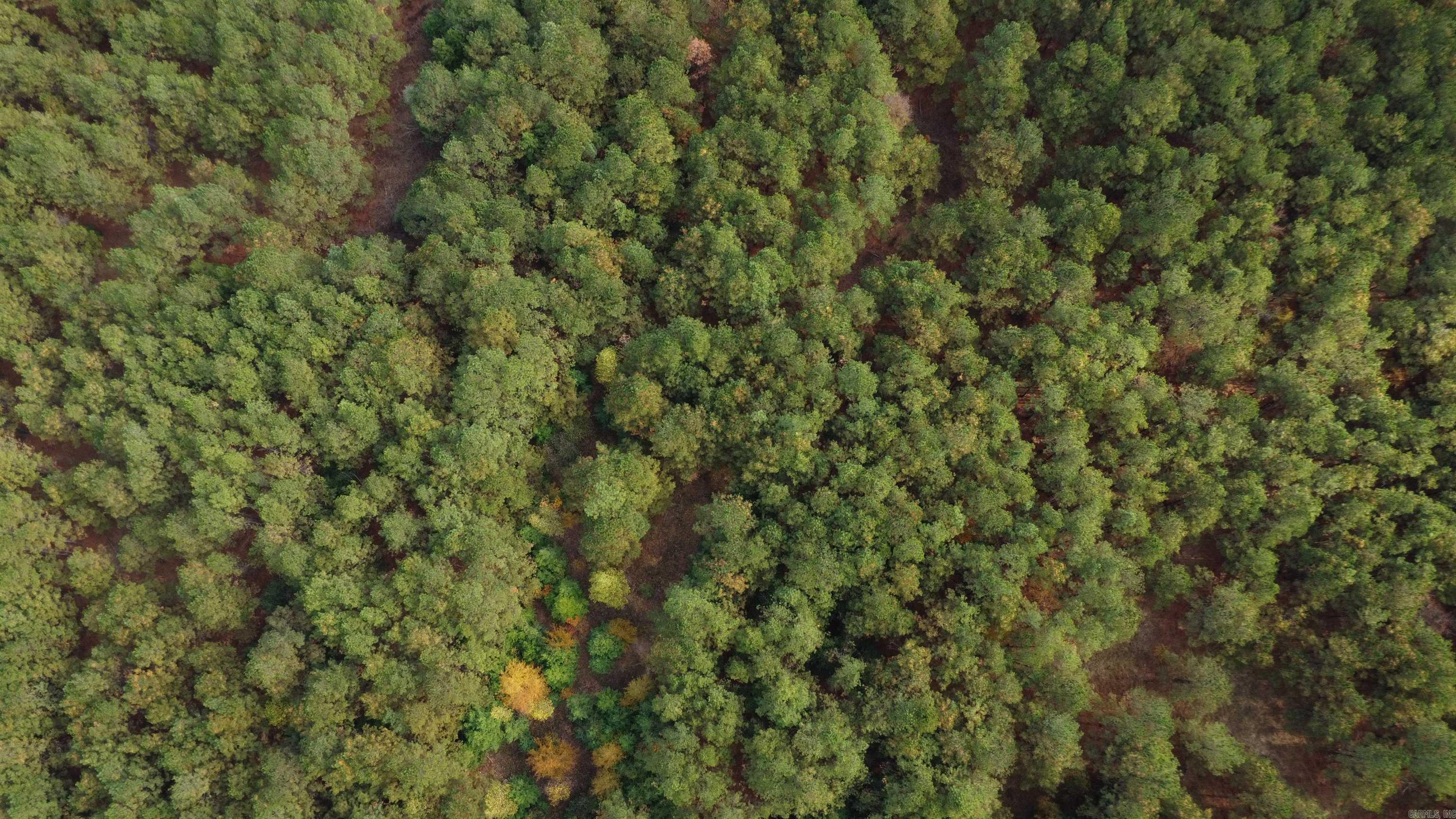 000 Hwy 51, Lot#WP002  Joan, AR