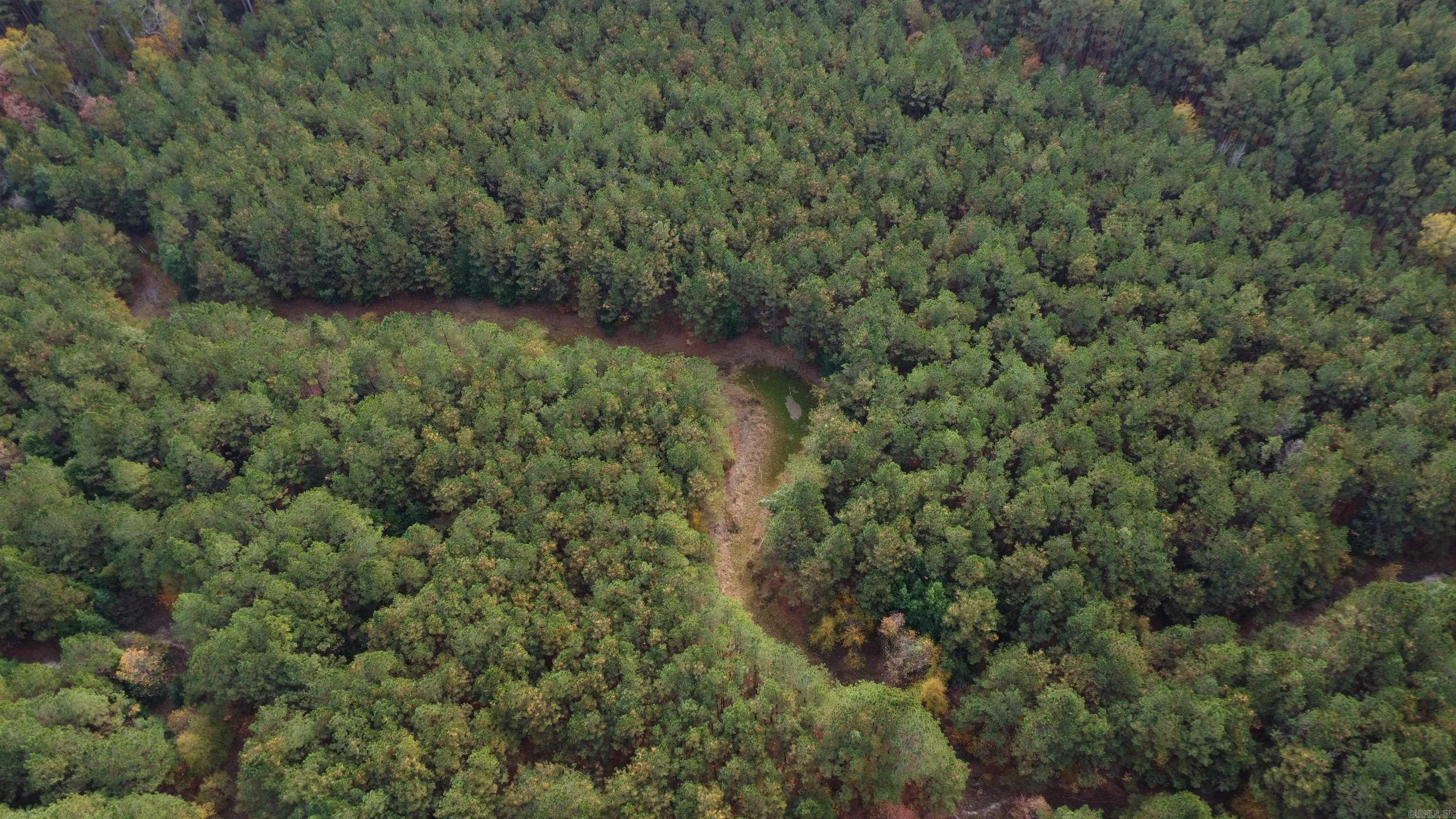 000 Hwy 51, Lot#WP002  Joan, AR