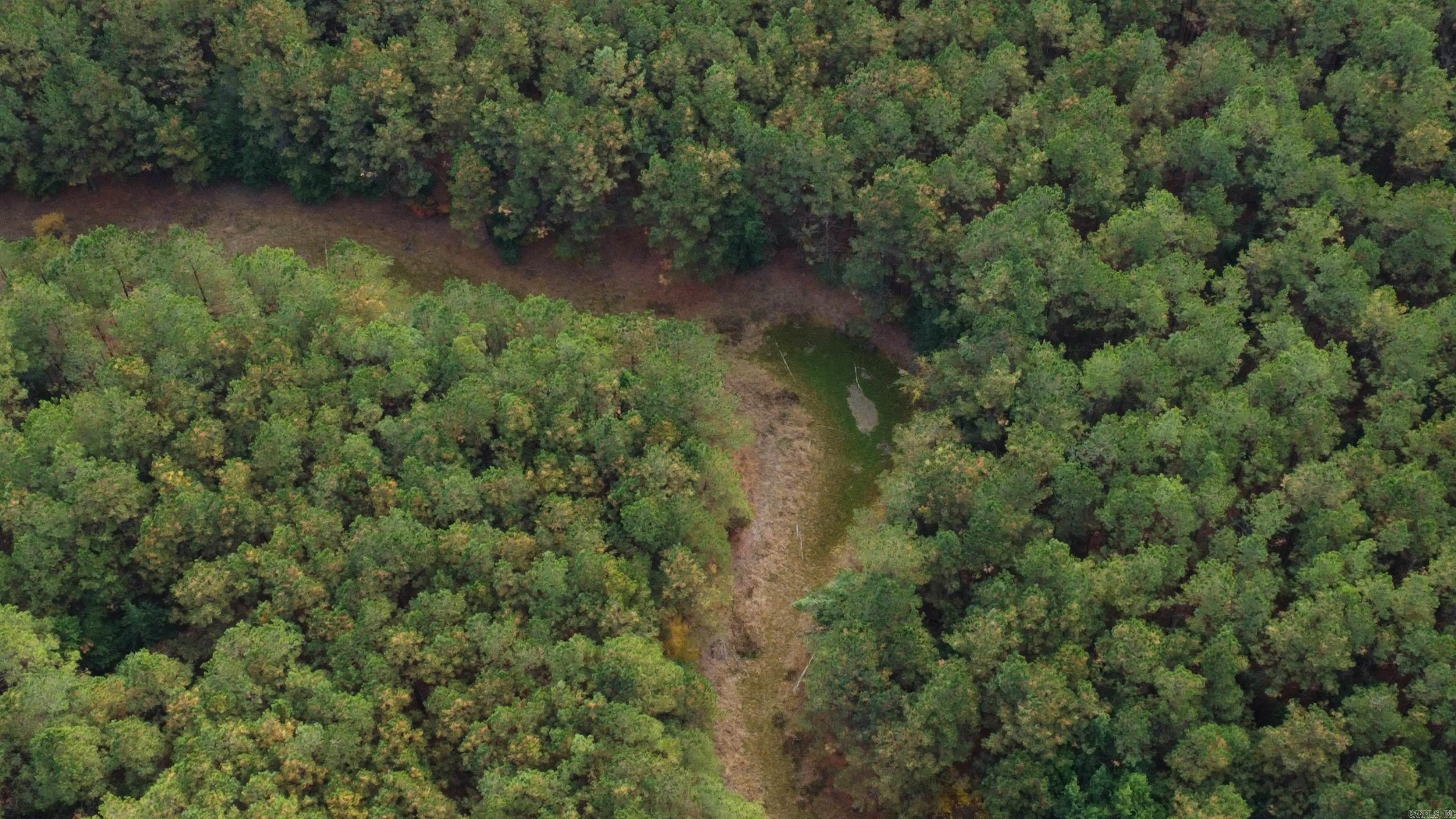 000 Hwy 51, Lot#WP002  Joan, AR