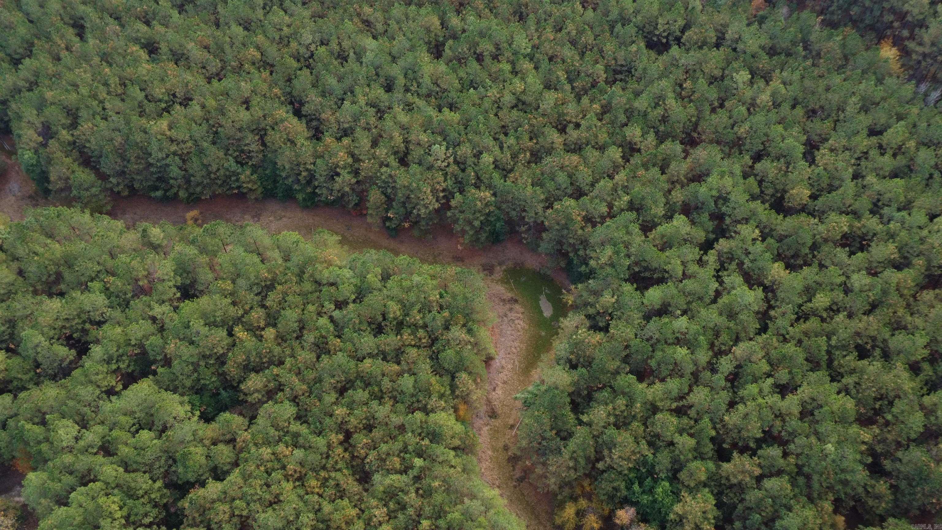 000 Hwy 51, Lot#WP002  Joan, AR