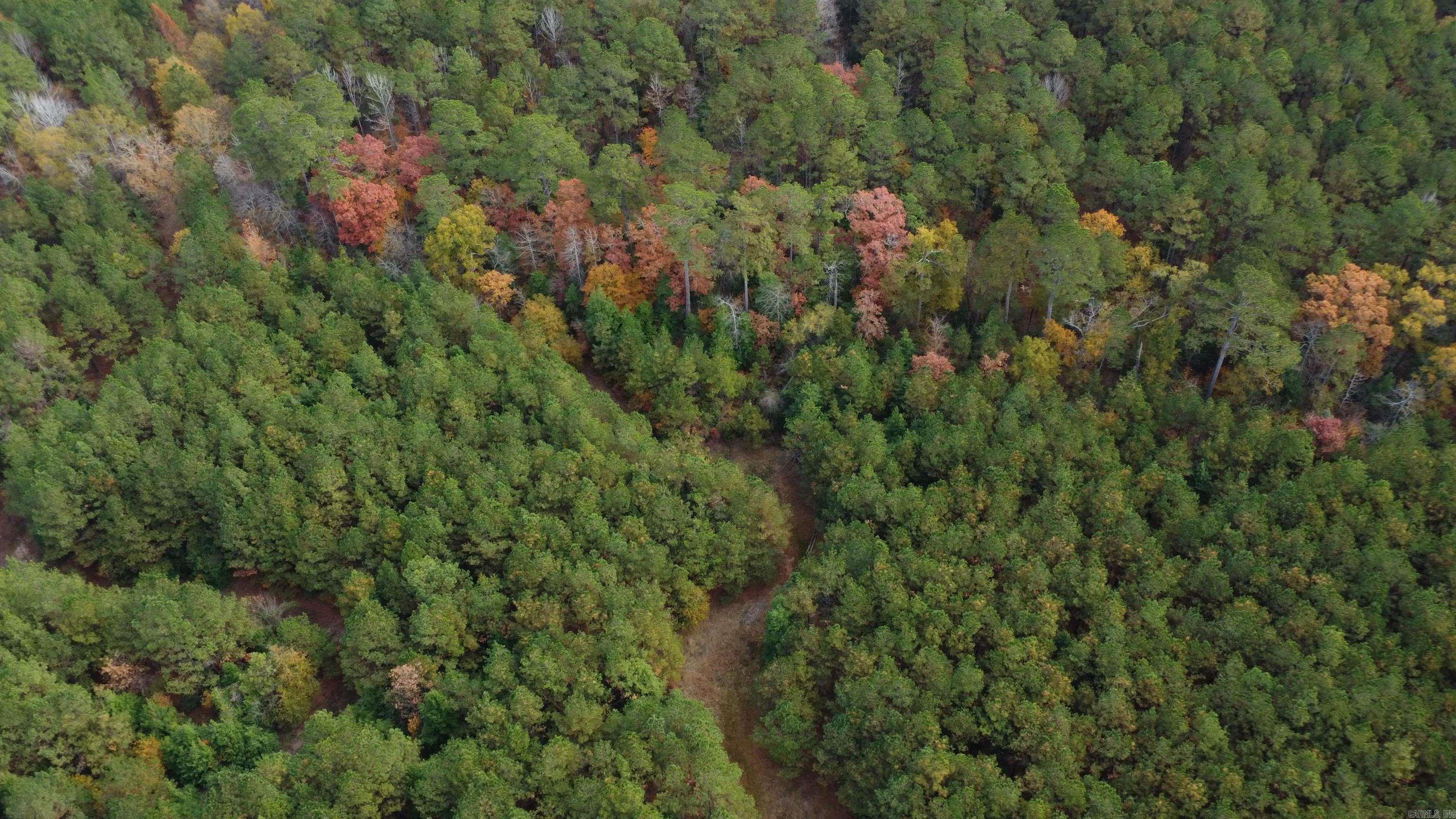 000 Hwy 51, Lot#WP002  Joan, AR