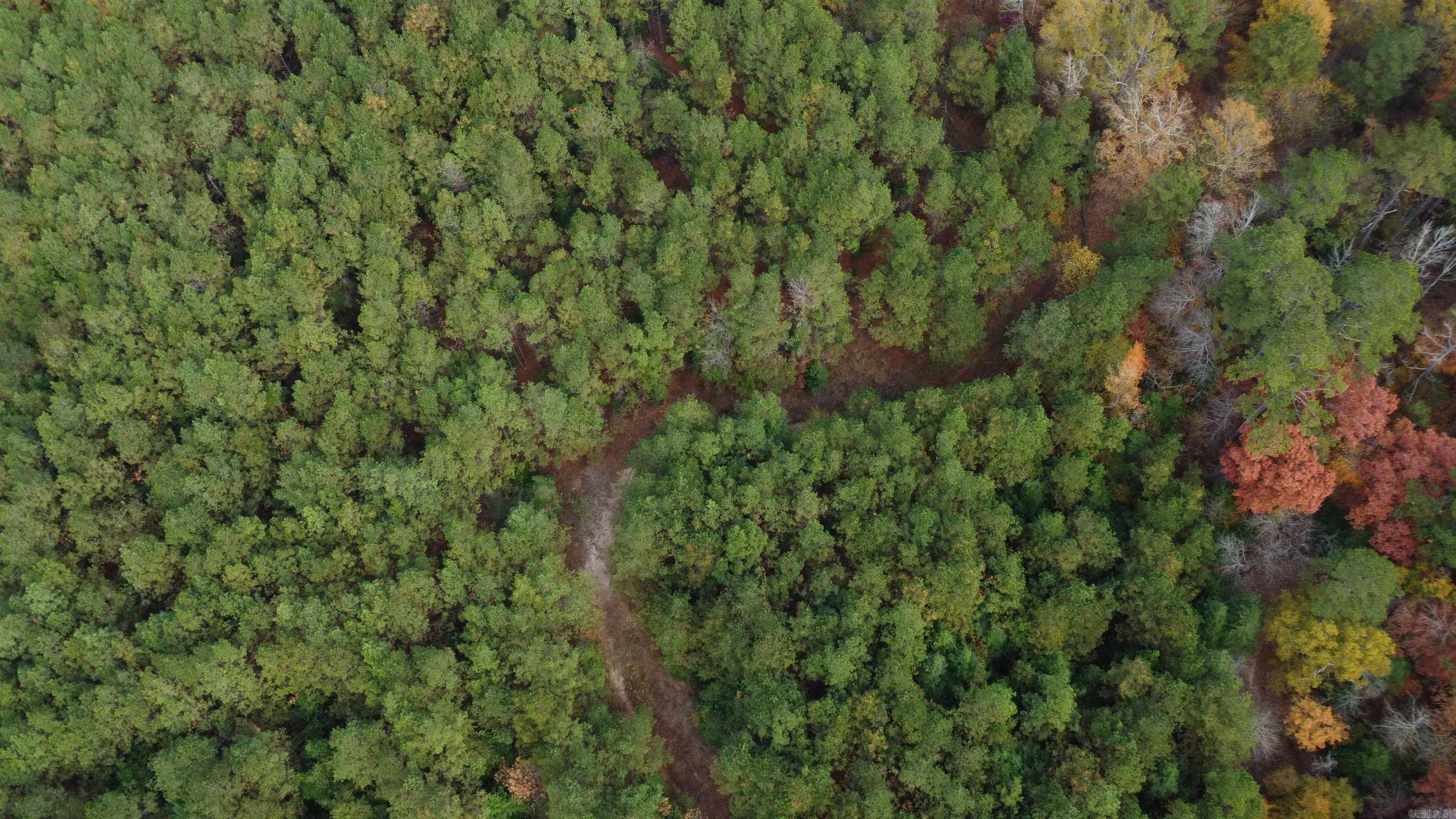 000 Hwy 51, Lot#WP002  Joan, AR