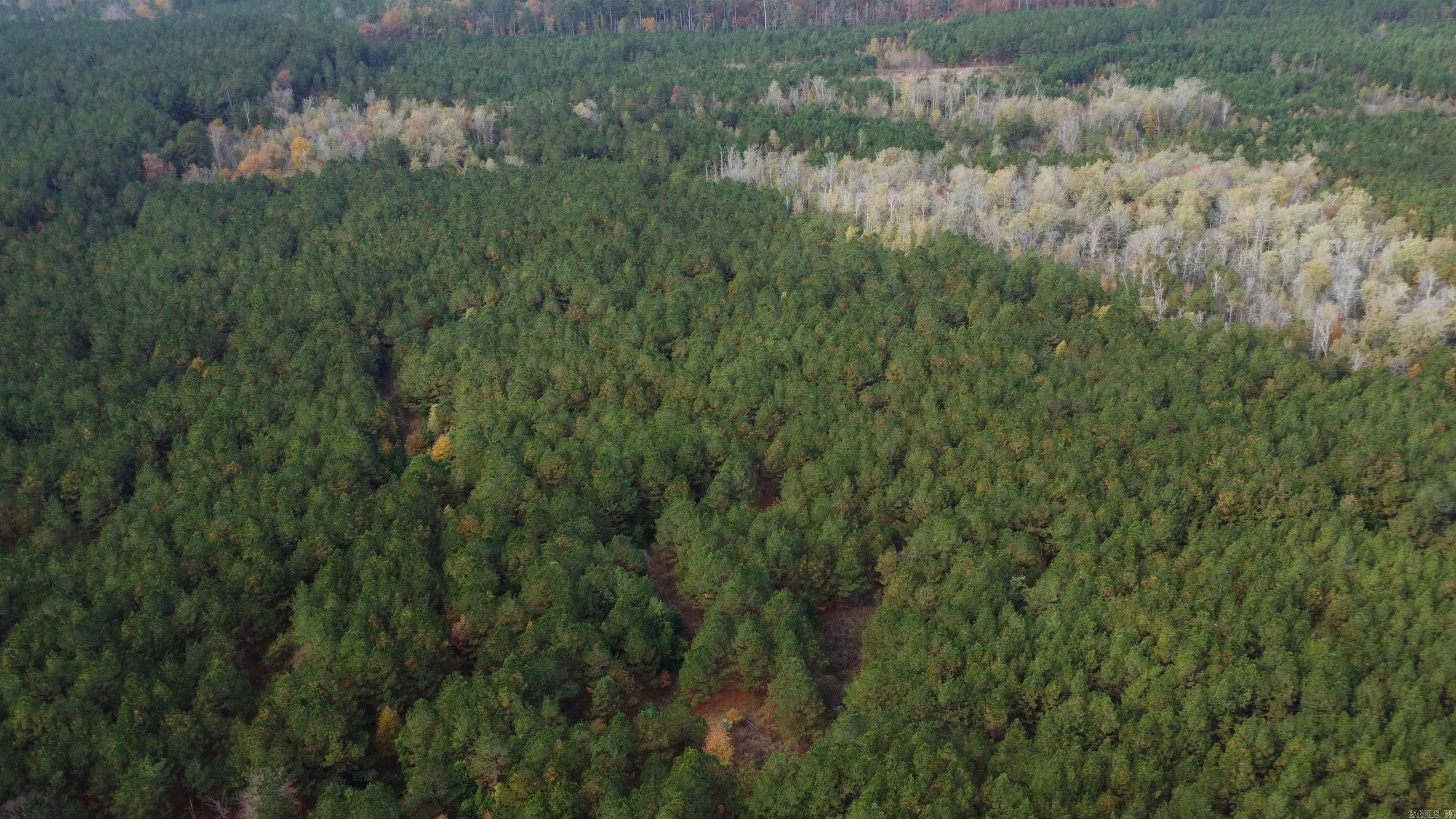 000 Hwy 51, Lot#WP002  Joan, AR