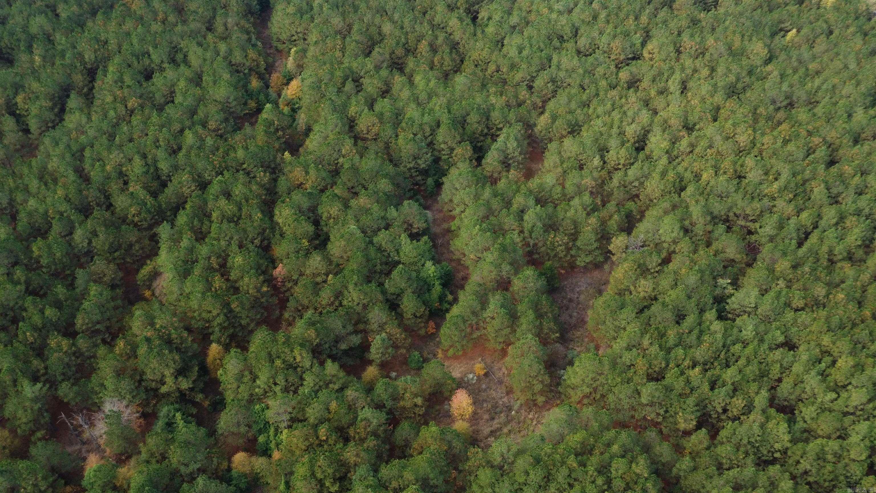 000 Hwy 51, Lot#WP002  Joan, AR