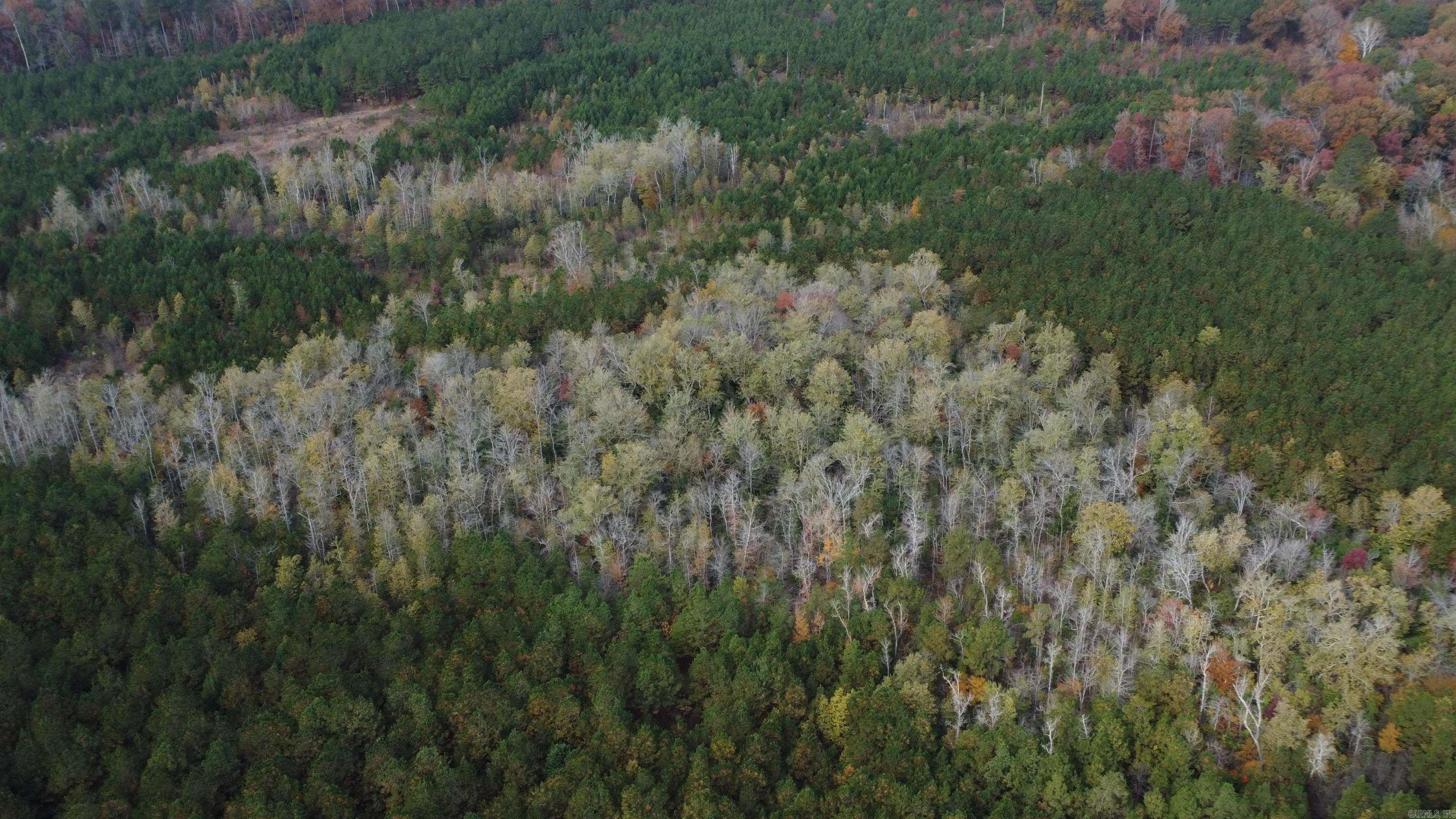 000 Hwy 51, Lot#WP002  Joan, AR