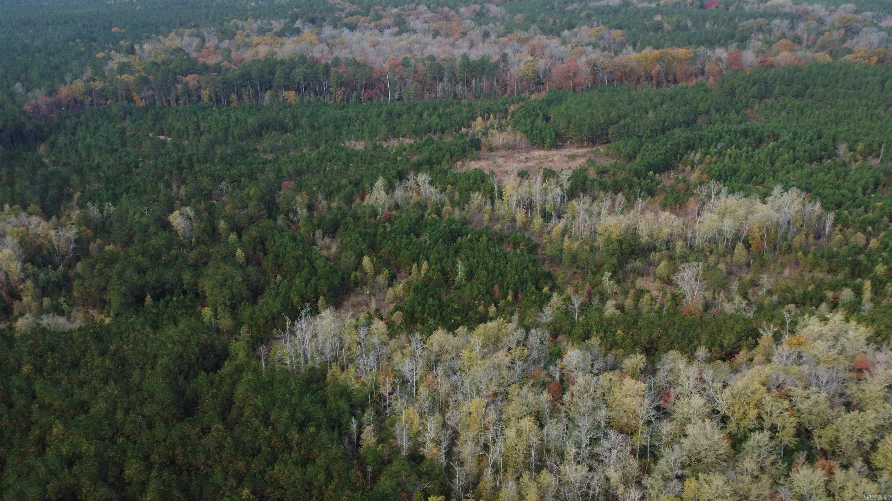 000 Hwy 51, Lot#WP002  Joan, AR