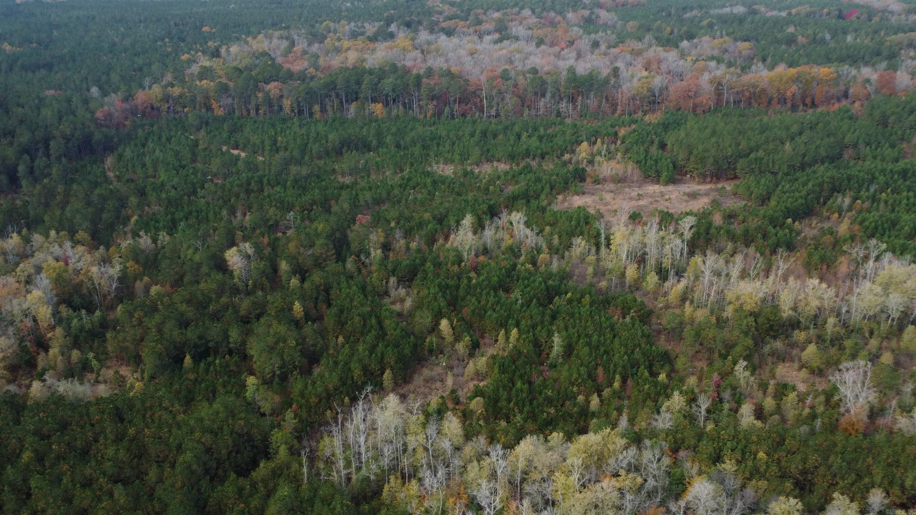 000 Hwy 51, Lot#WP002  Joan, AR