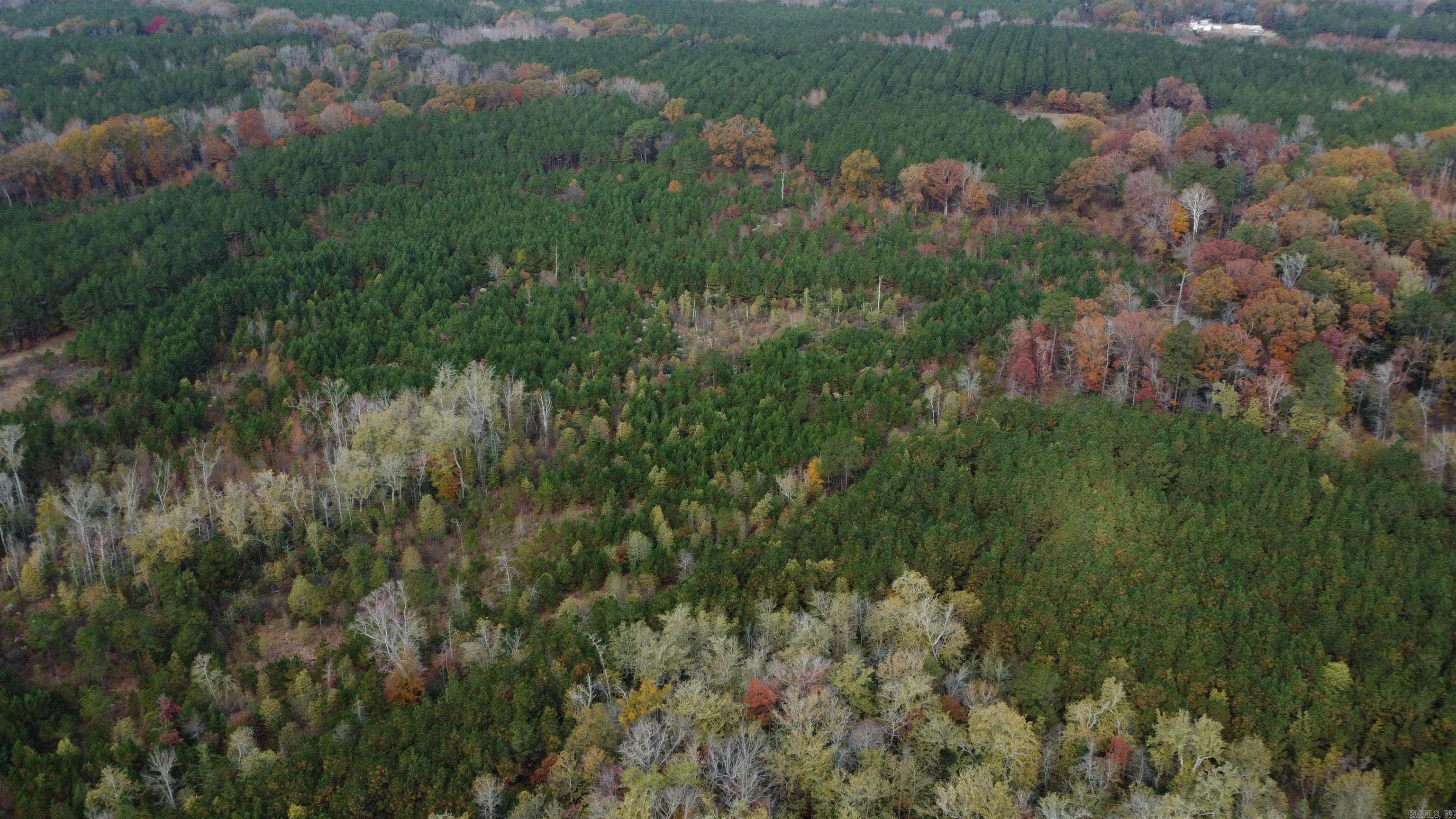 000 Hwy 51, Lot#WP002  Joan, AR