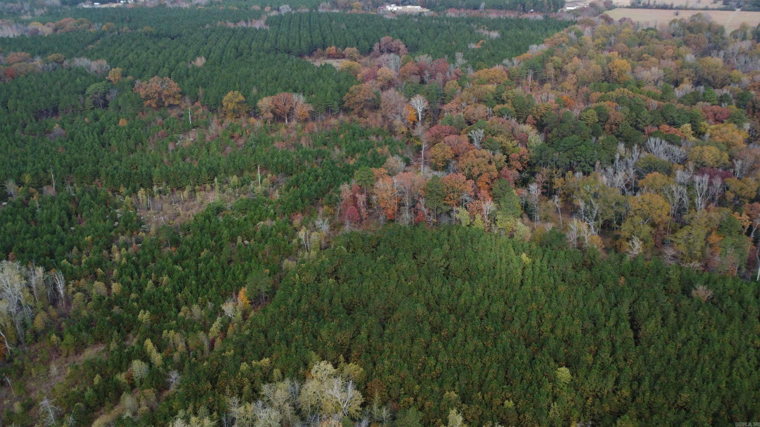 000 Hwy 51, Lot#WP002  Joan, AR