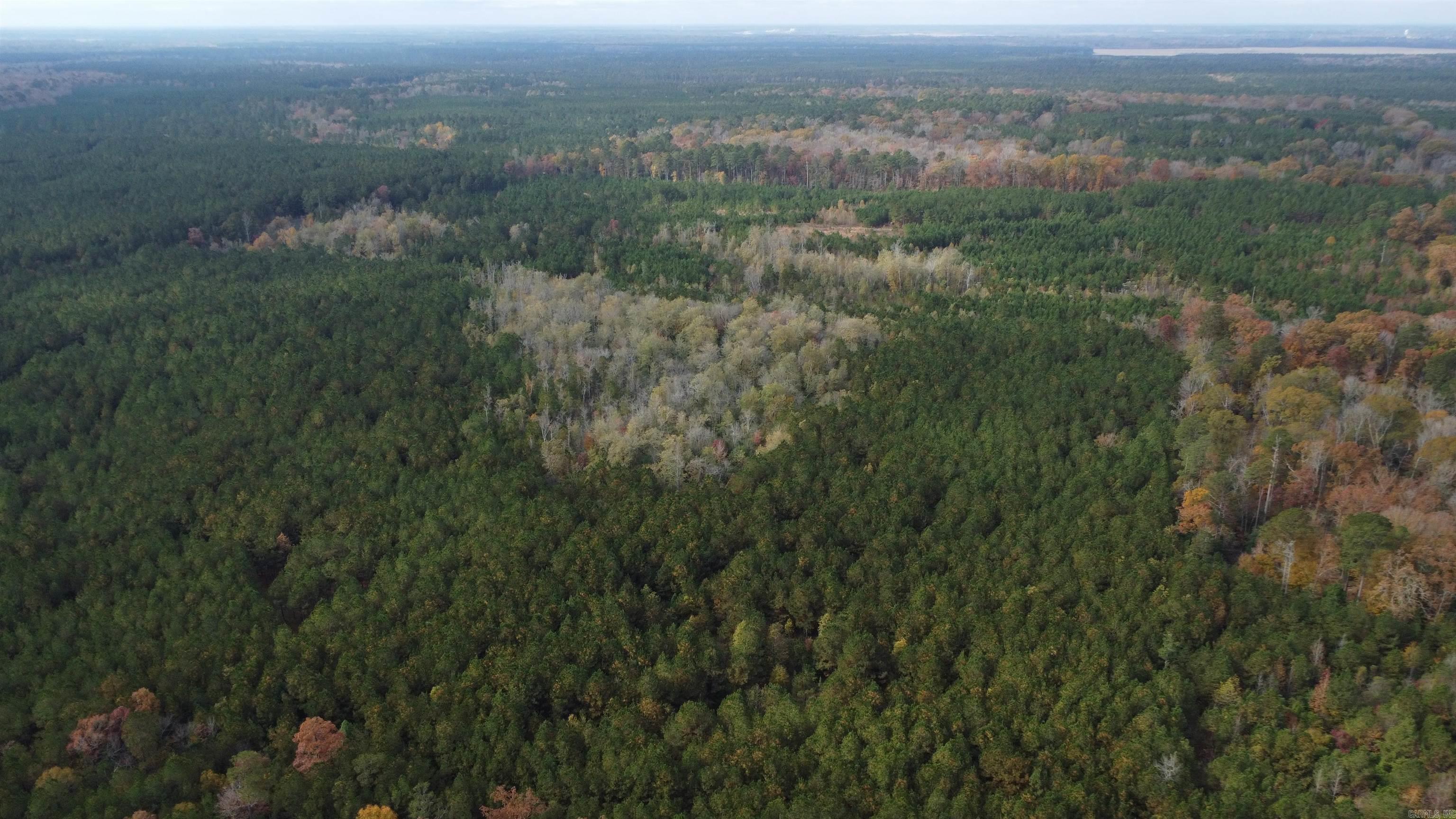 000 Hwy 51, Lot#WP002  Joan, AR