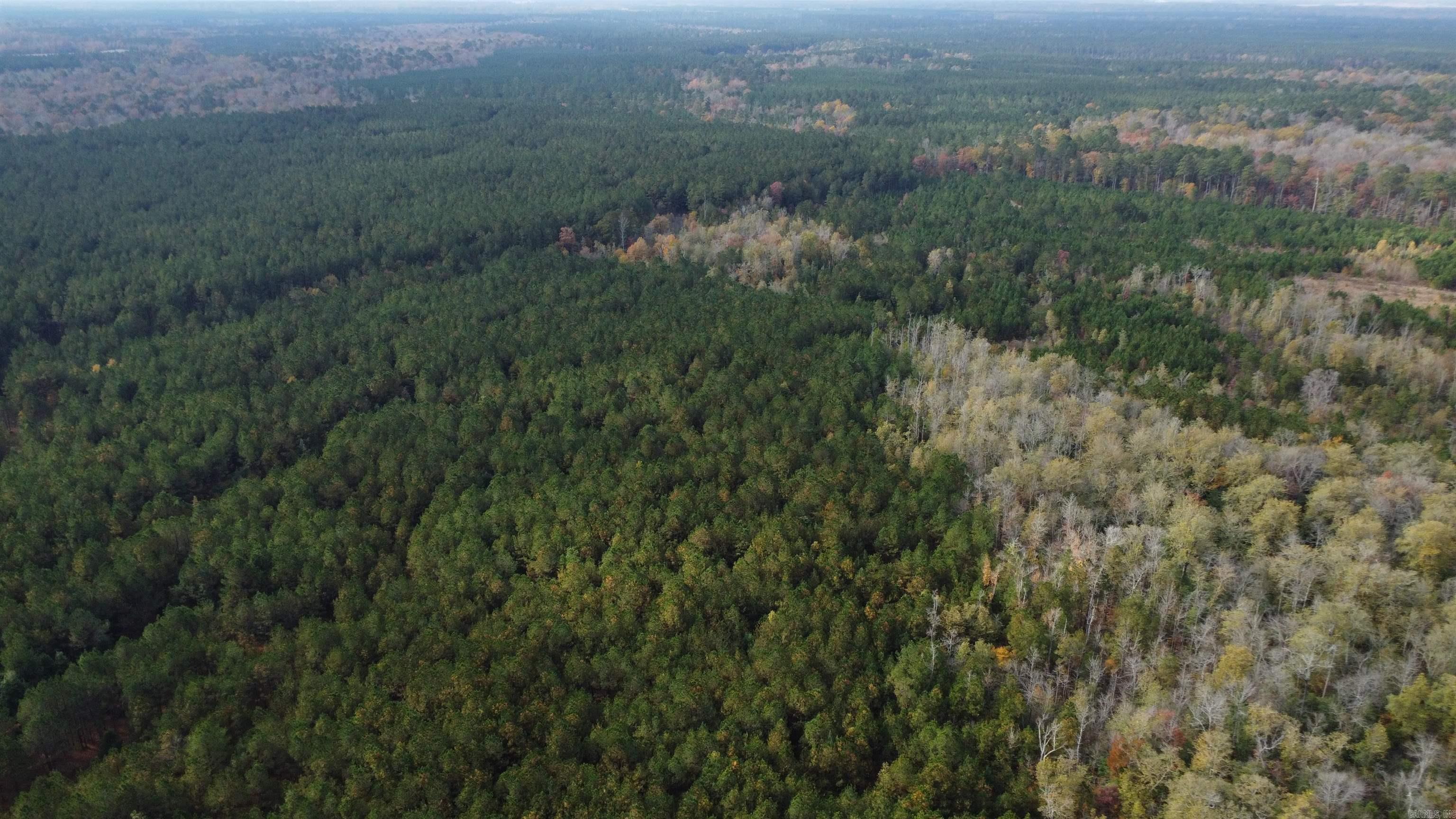 000 Hwy 51, Lot#WP002  Joan, AR