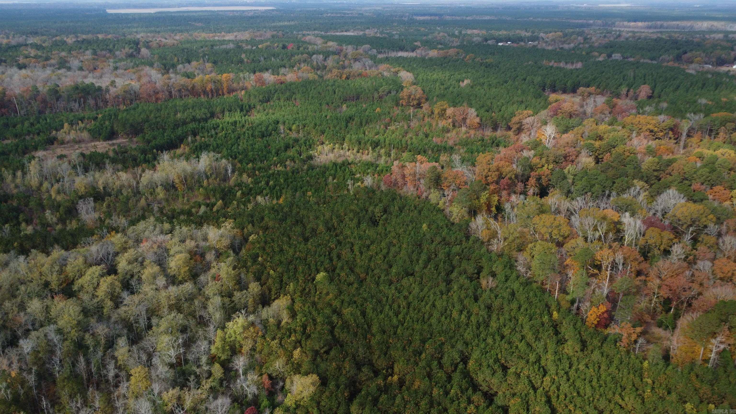 000 Hwy 51, Lot#WP002  Joan, AR