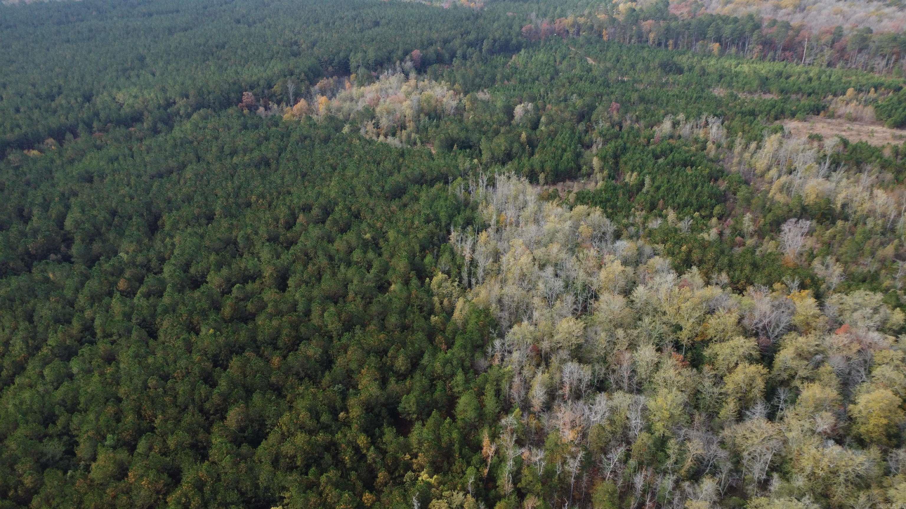 000 Hwy 51, Lot#WP002  Joan, AR