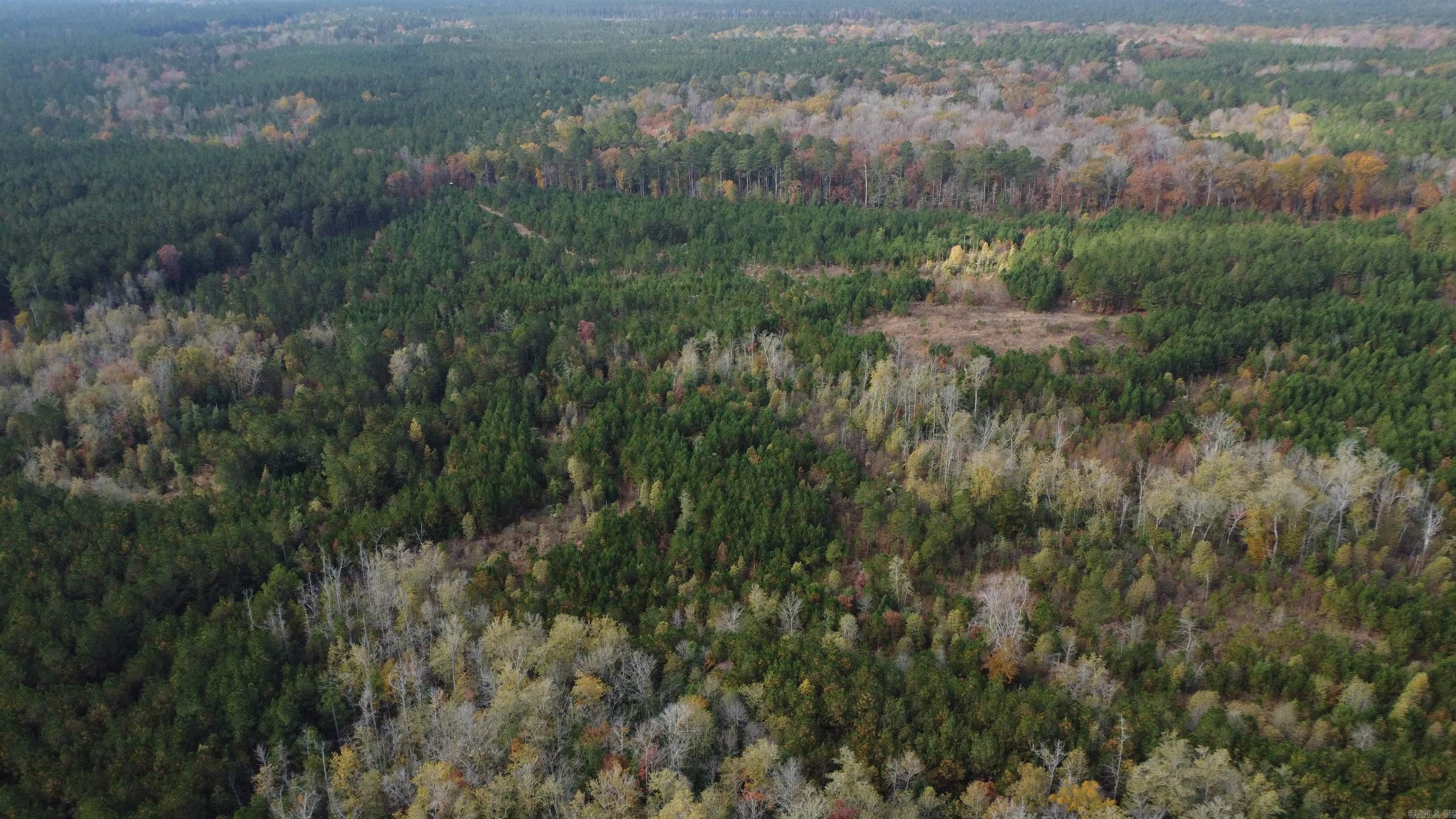 000 Hwy 51, Lot#WP002  Joan, AR