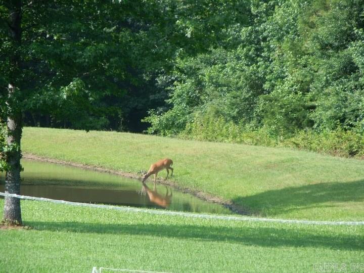 150 Wilson Lodge  Judsonia, AR