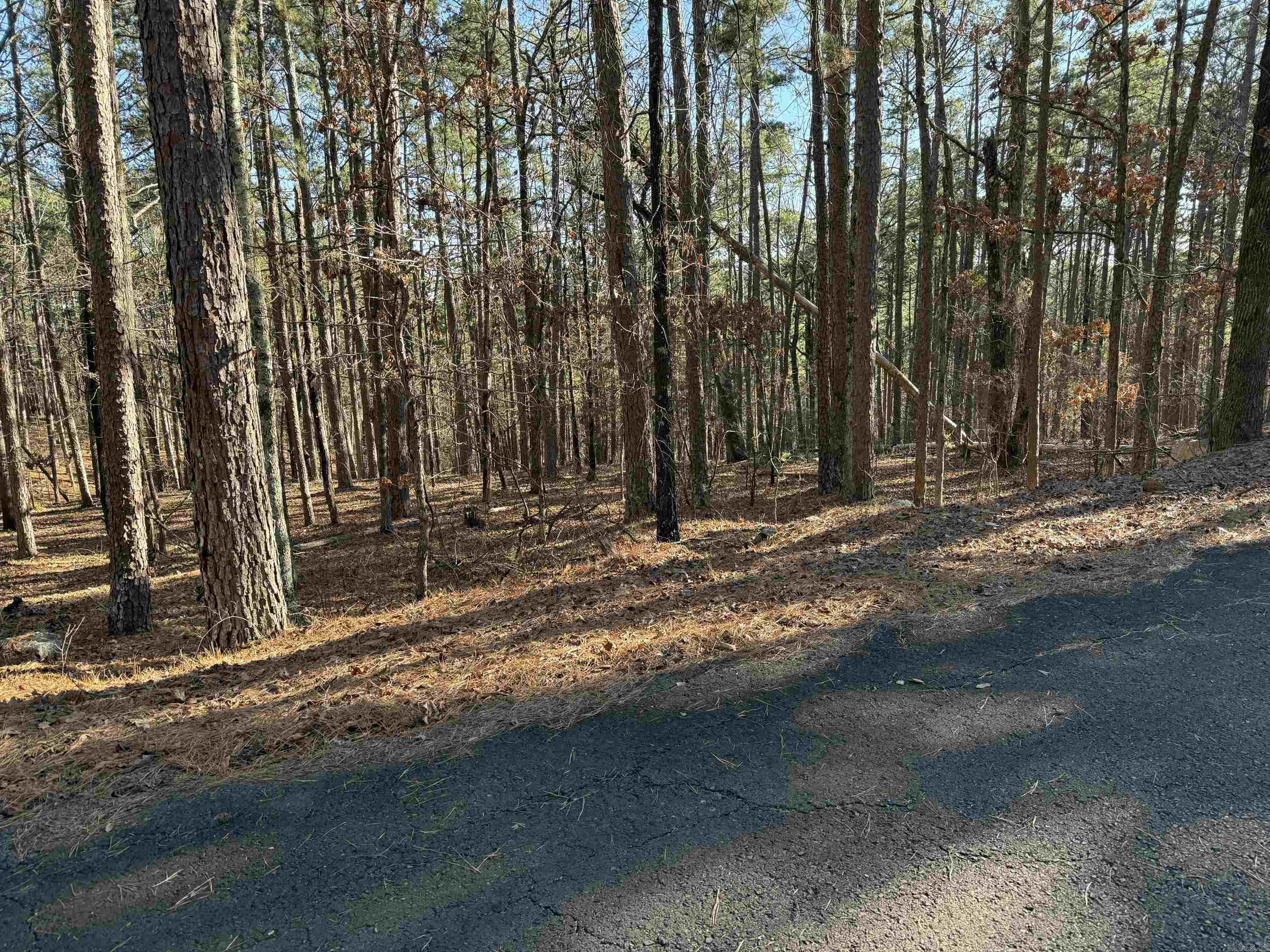 48 La Palabra 3 Hablar Lane Hot Springs Village, AR