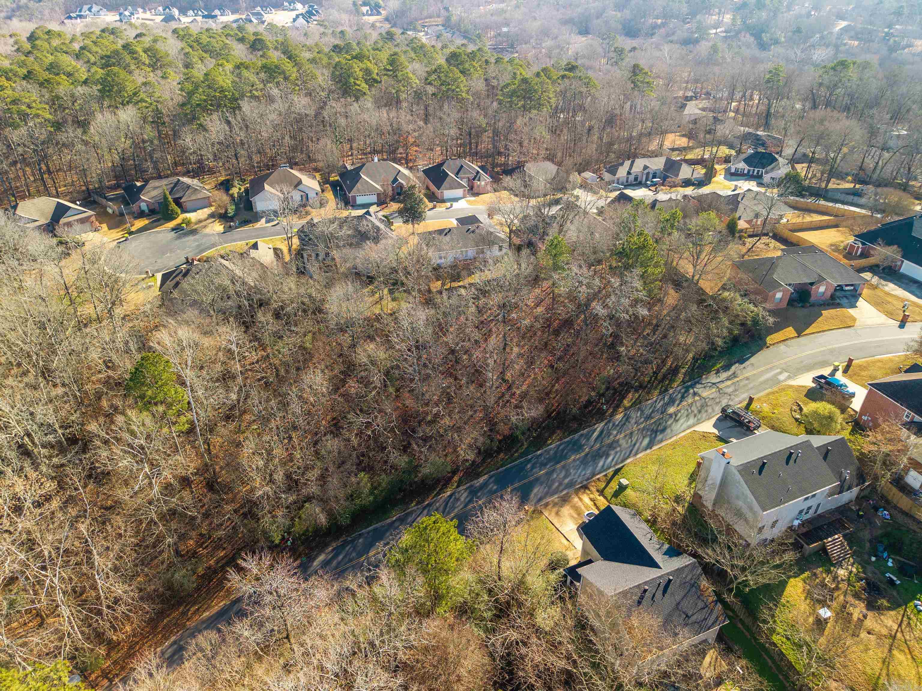 Lot 116 Volcanic  Benton, AR