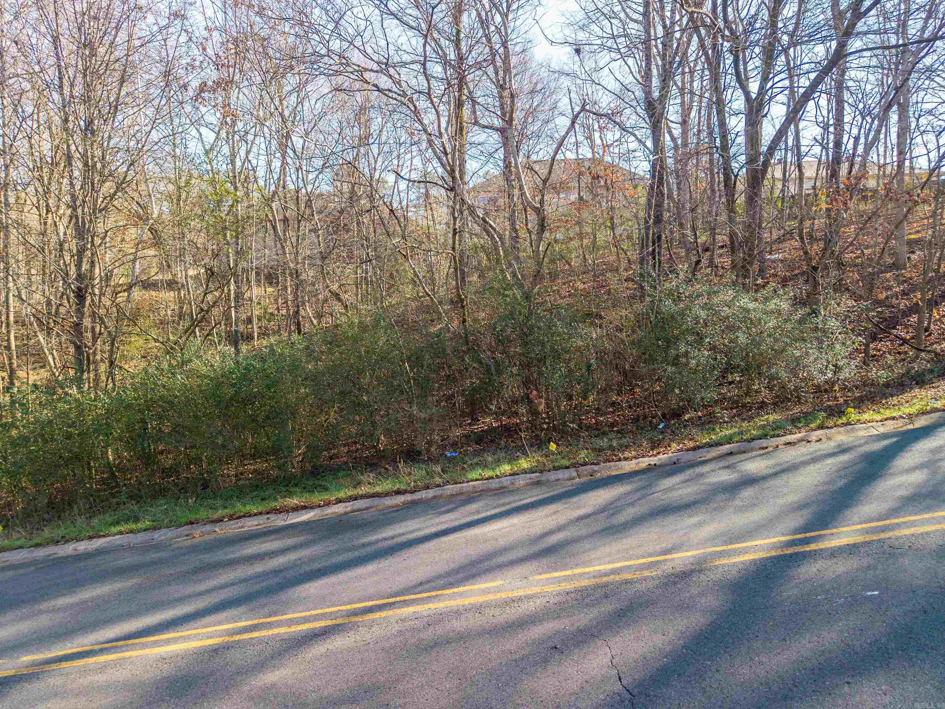 Lot 117 Volcanic  Benton, AR