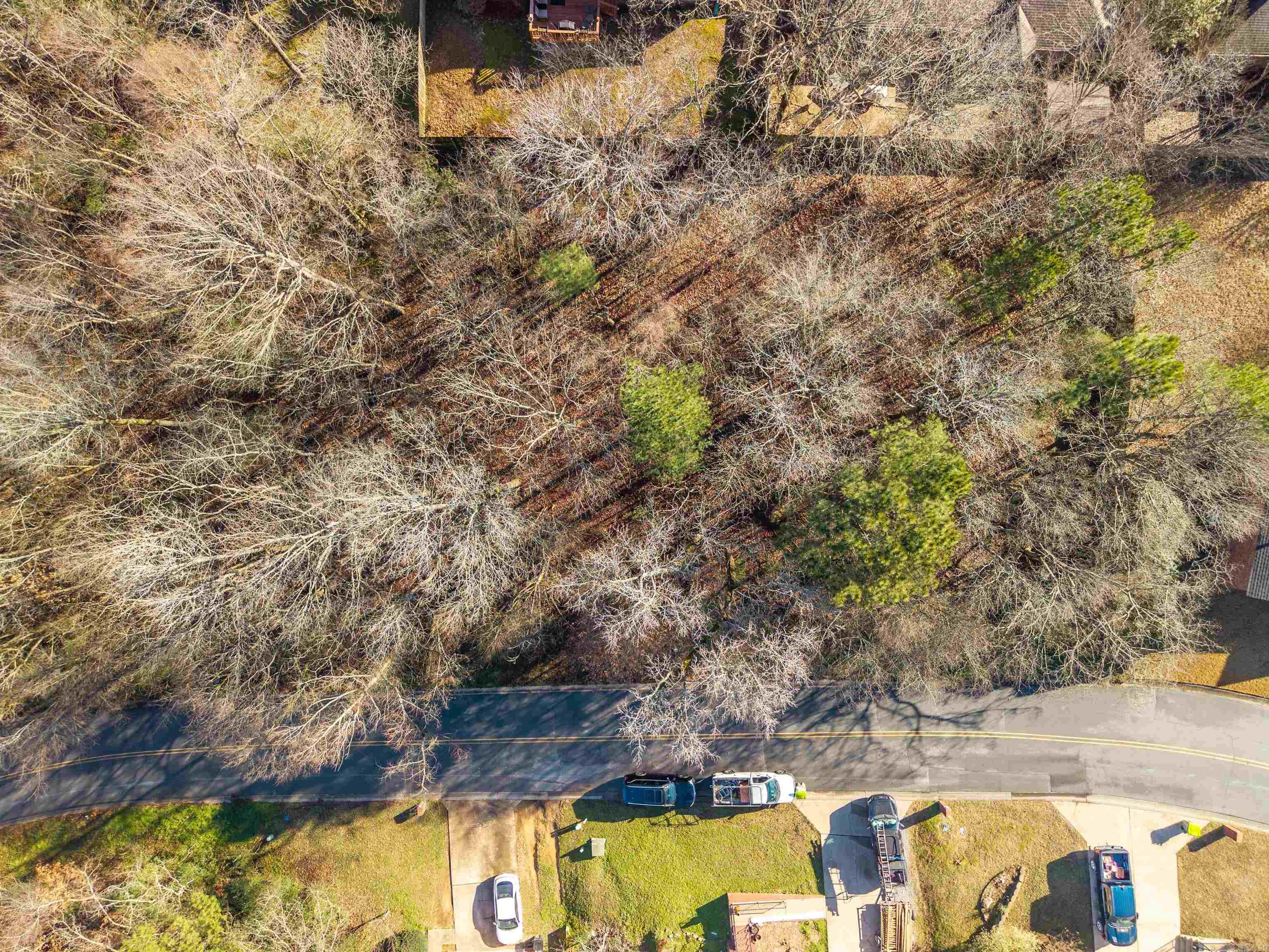 Lot 117 Volcanic  Benton, AR