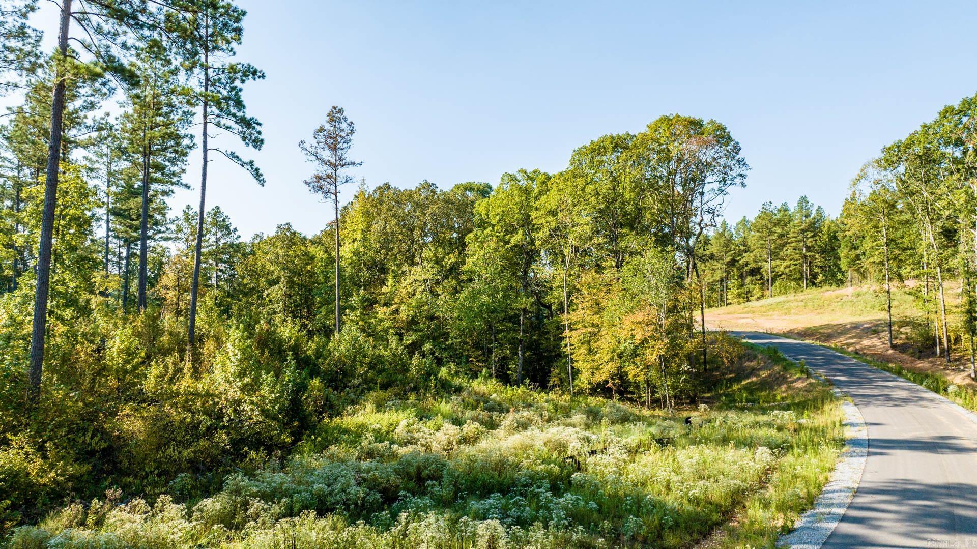 2000 Canyon Creek  Benton, AR