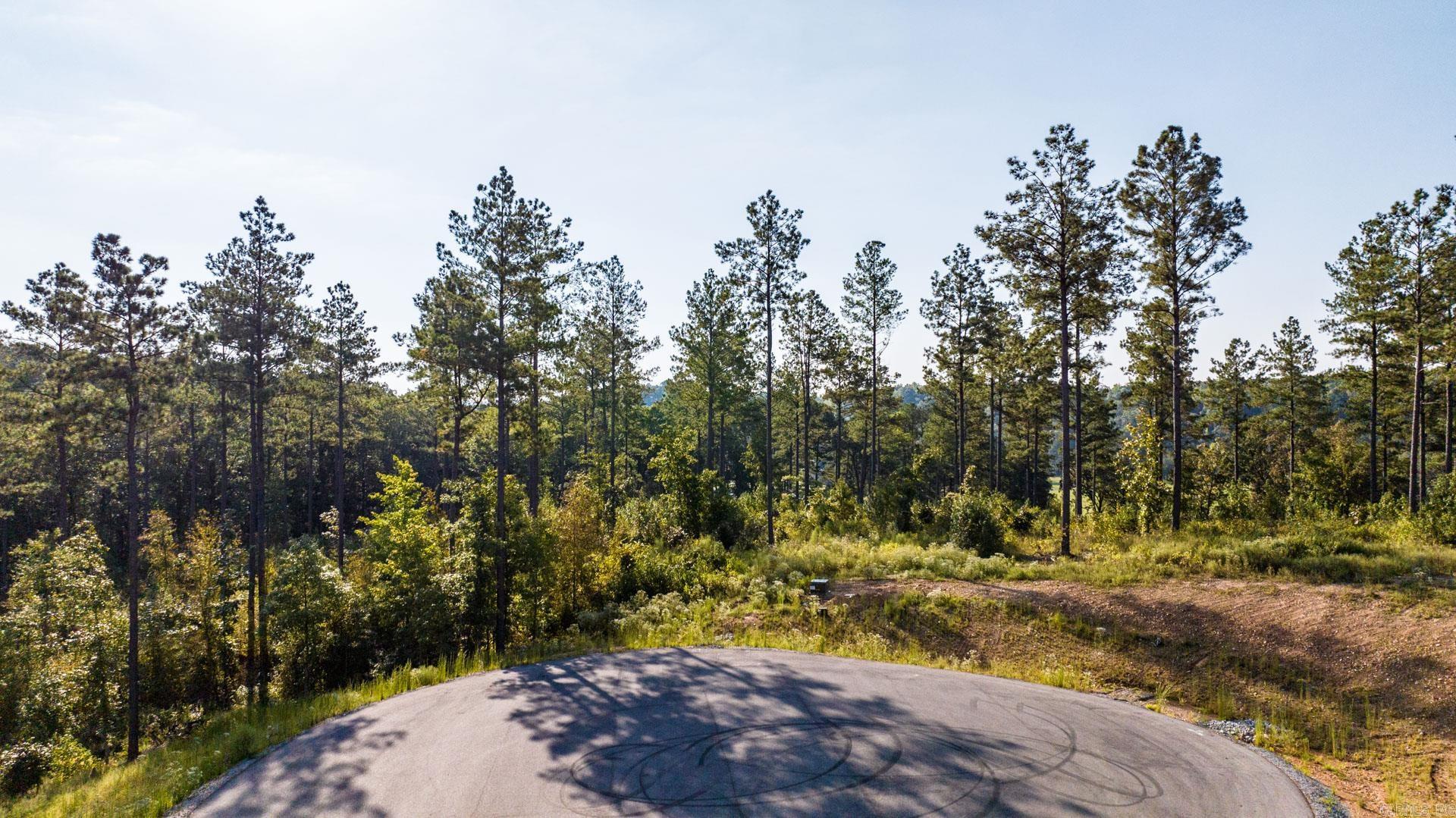 2000 Canyon Creek  Benton, AR