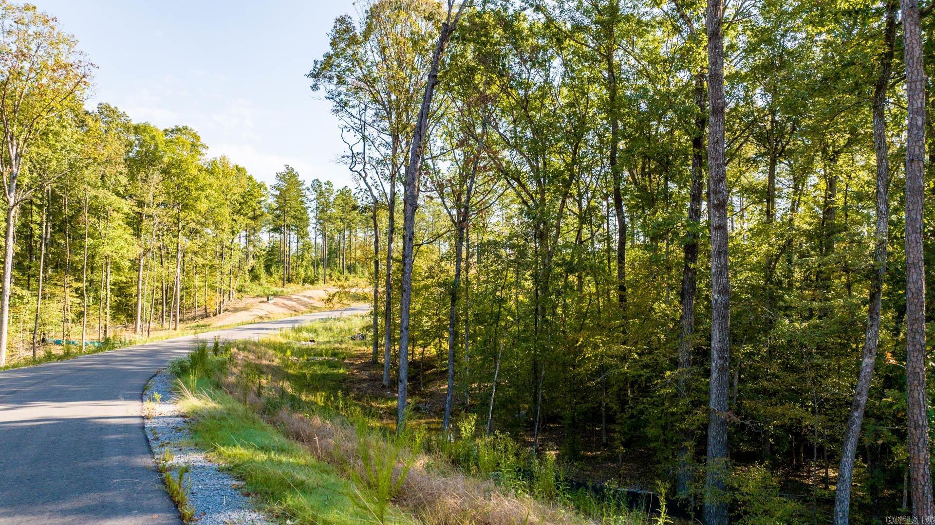 2008 Canyon Creek  Benton, AR