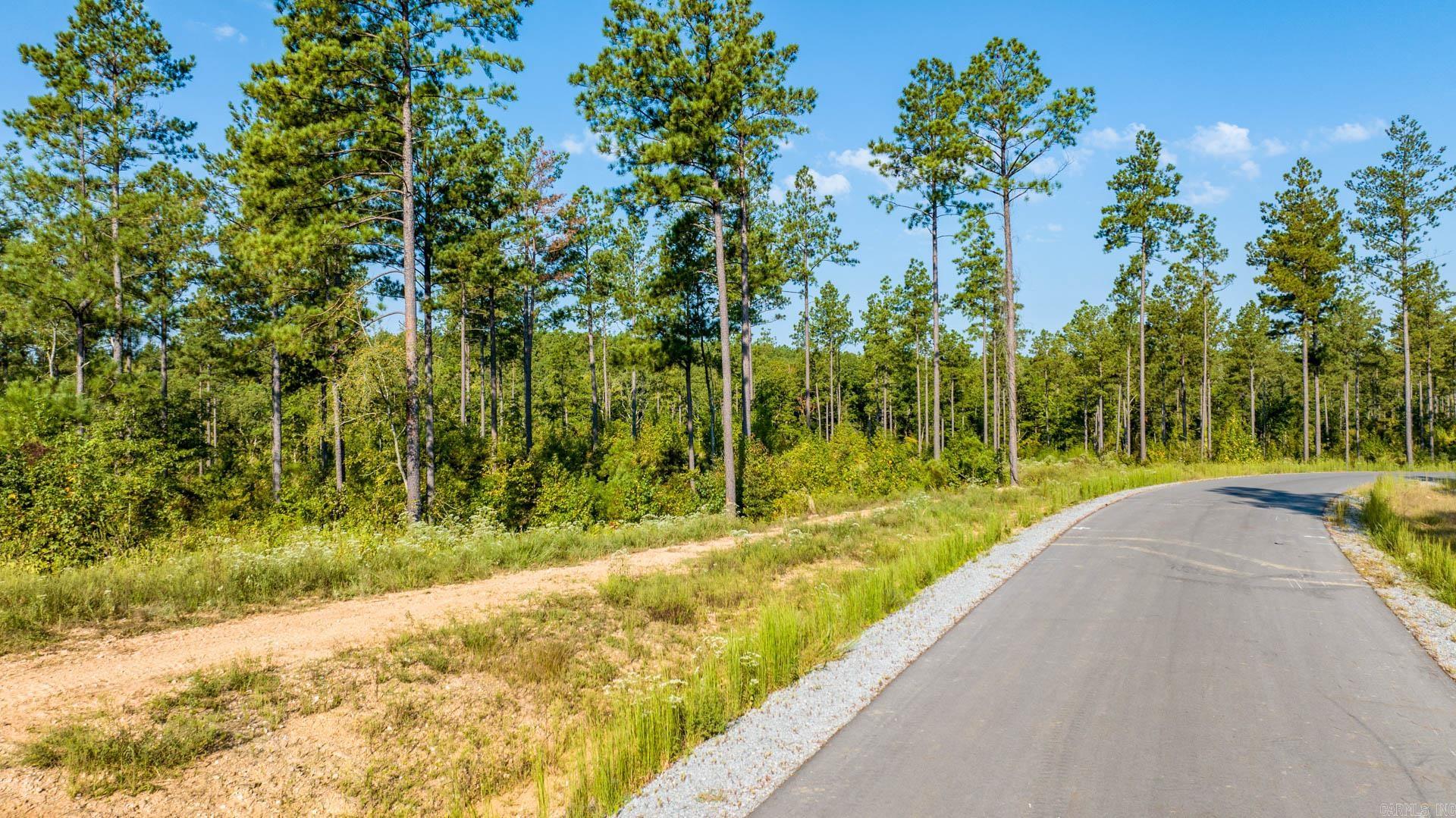 2008 Canyon Creek  Benton, AR