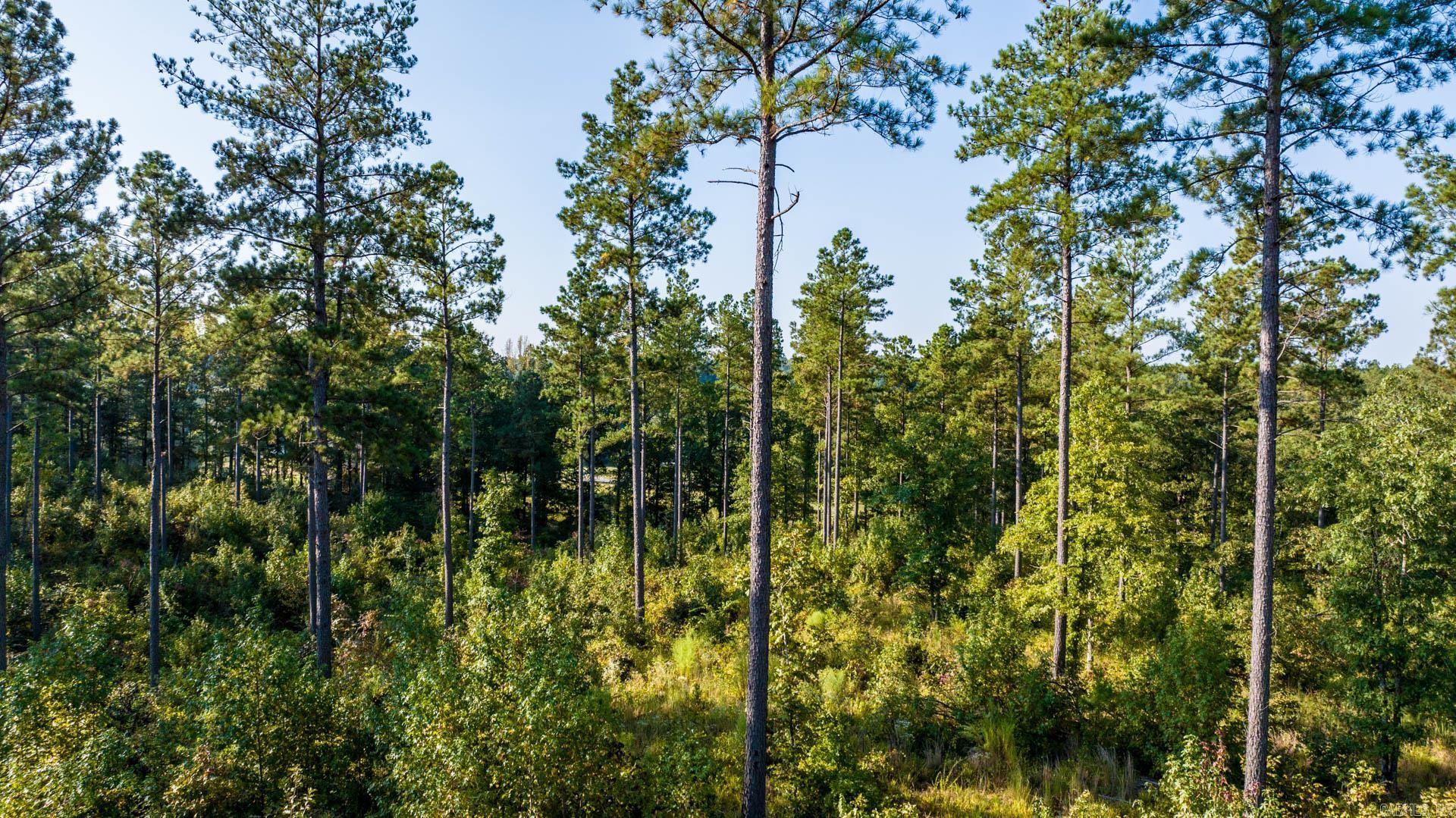 2048 Canyon Creek  Benton, AR