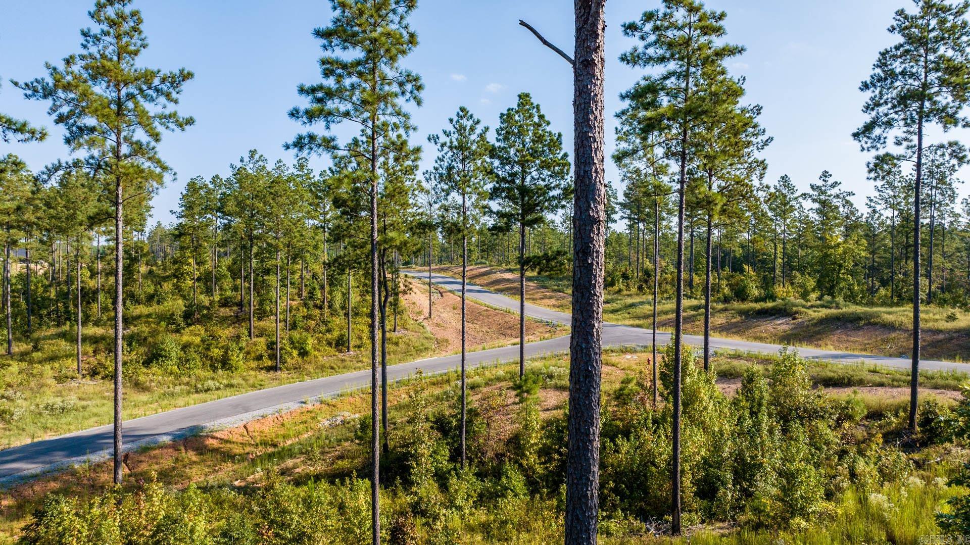 2057 Canyon Creek  Benton, AR