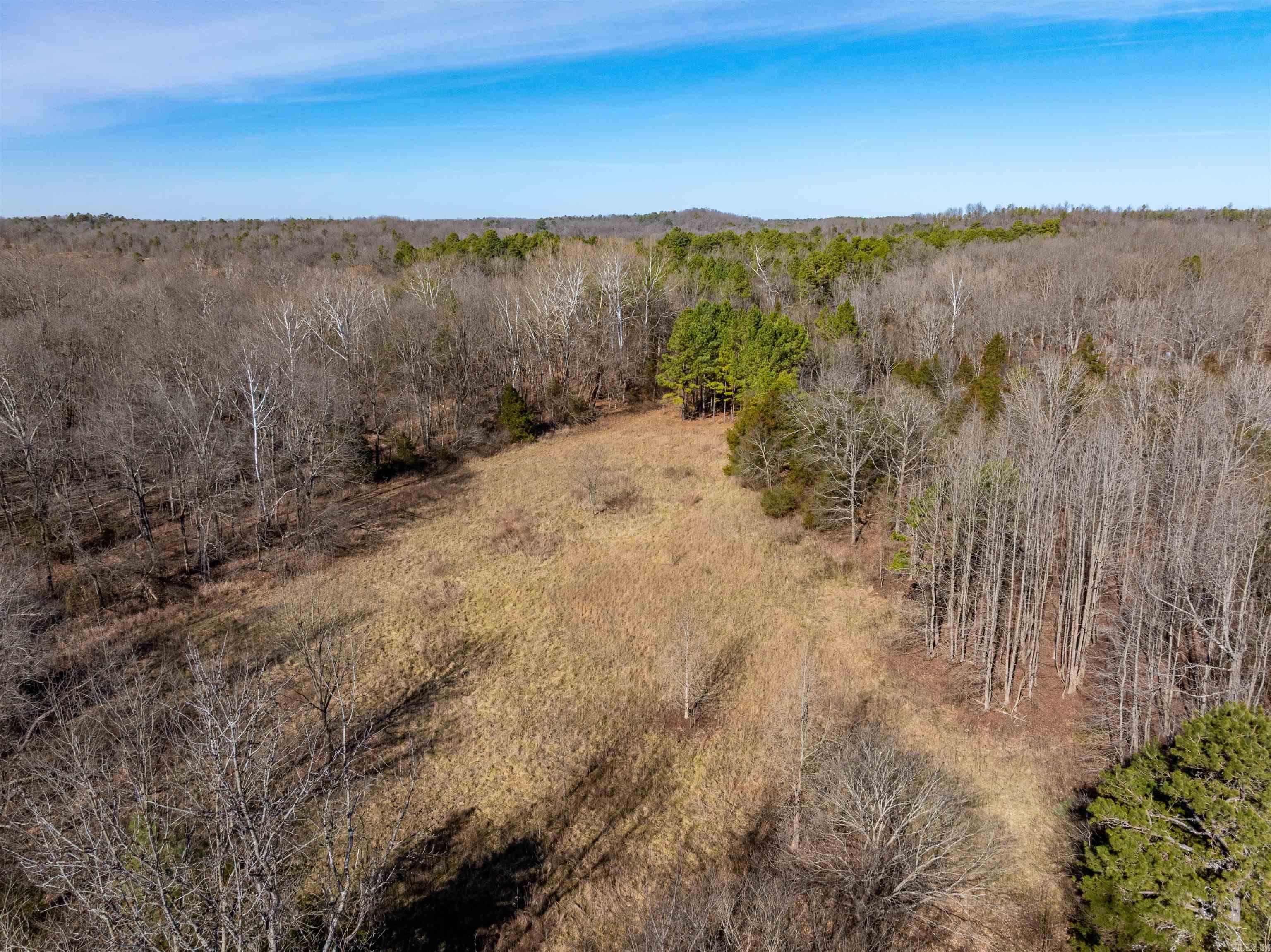 523 E Red Barn Road Cave City, AR 72521