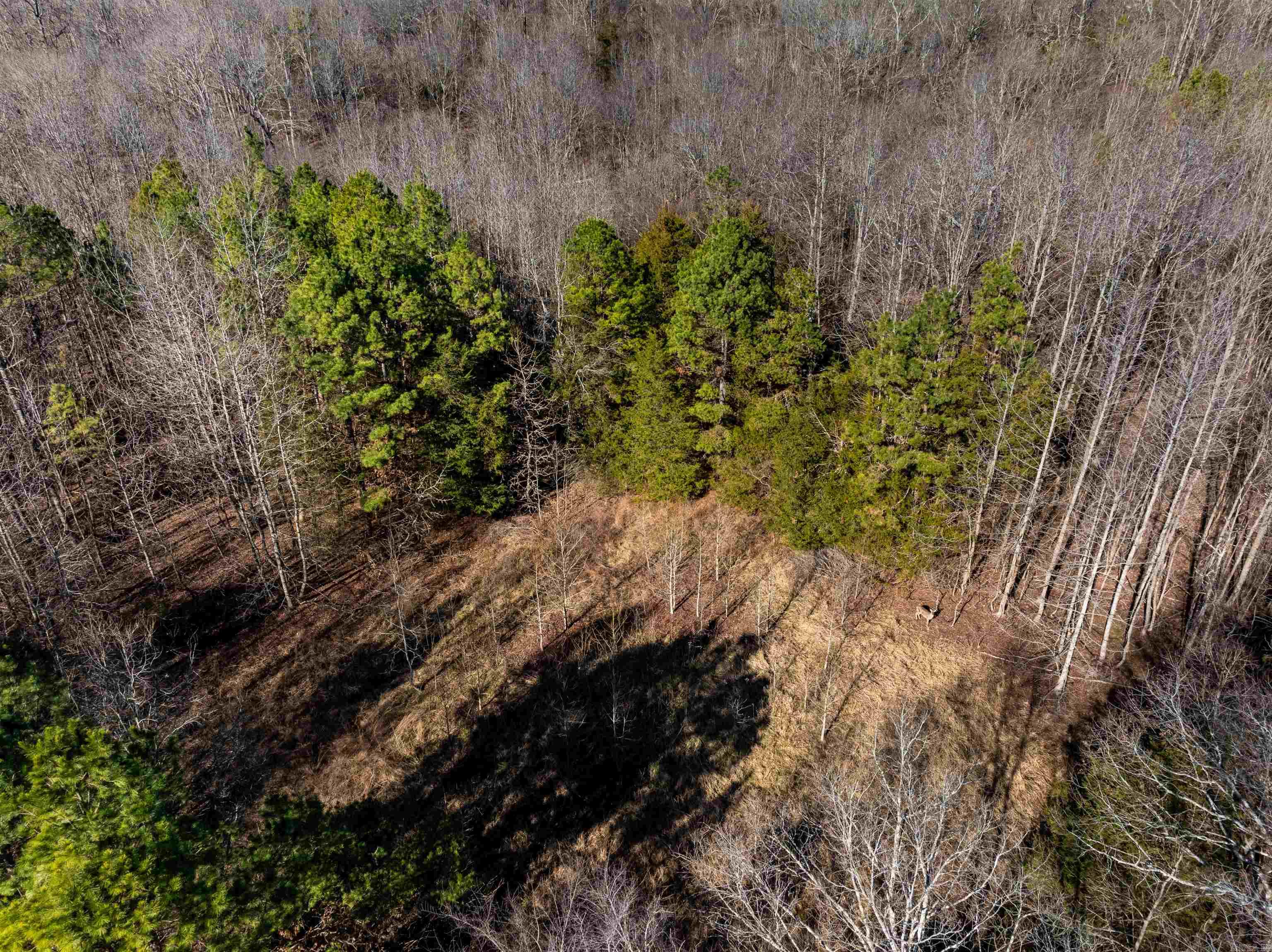 523 E Red Barn Road Cave City, AR 72521