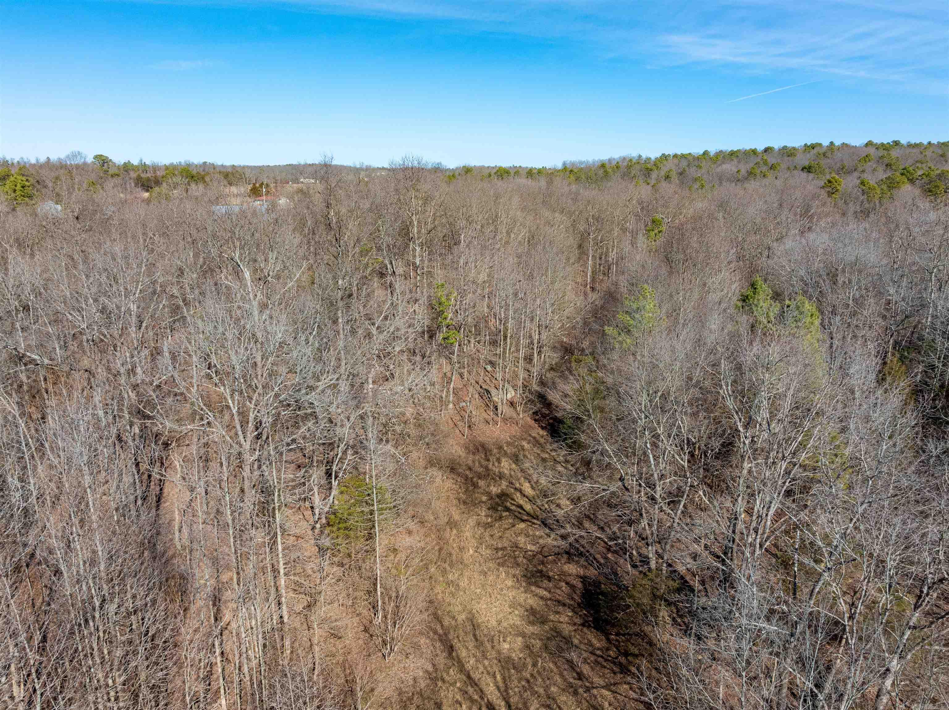 523 E Red Barn Road Cave City, AR 72521