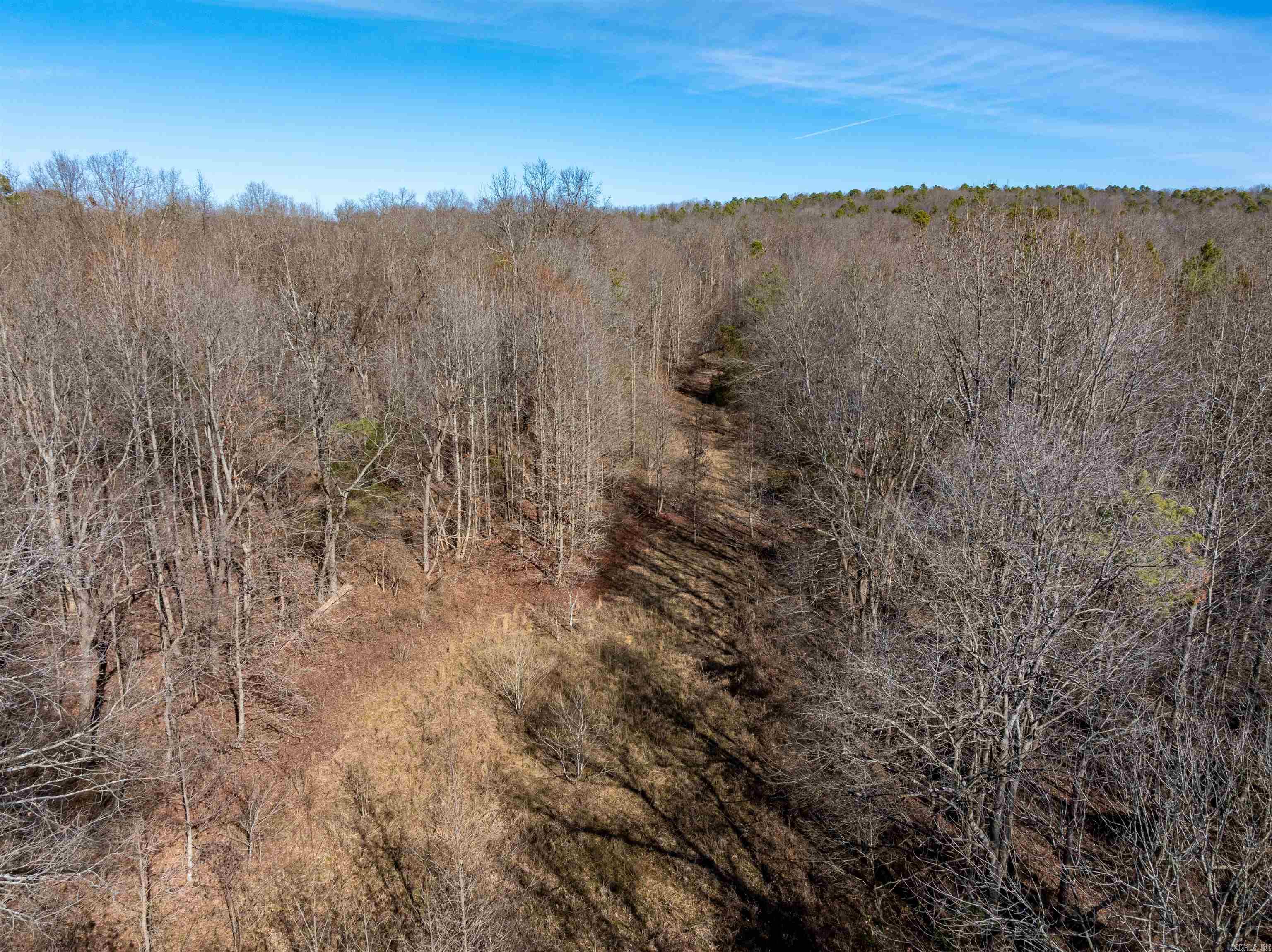 523 E Red Barn Road Cave City, AR 72521