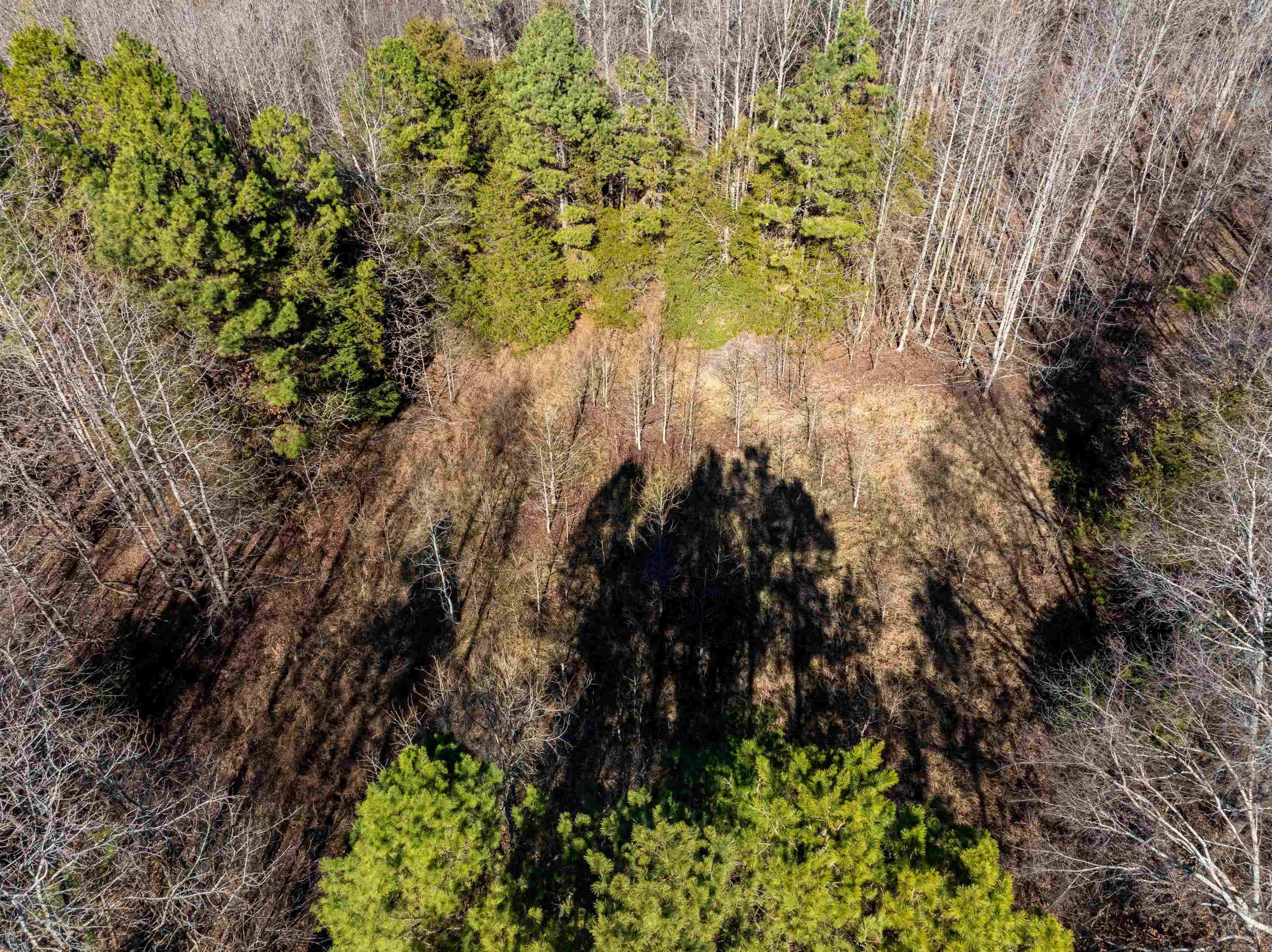 523 E Red Barn Road Cave City, AR 72521