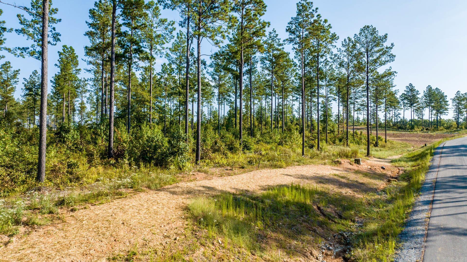 3009 Grandview  Benton, AR