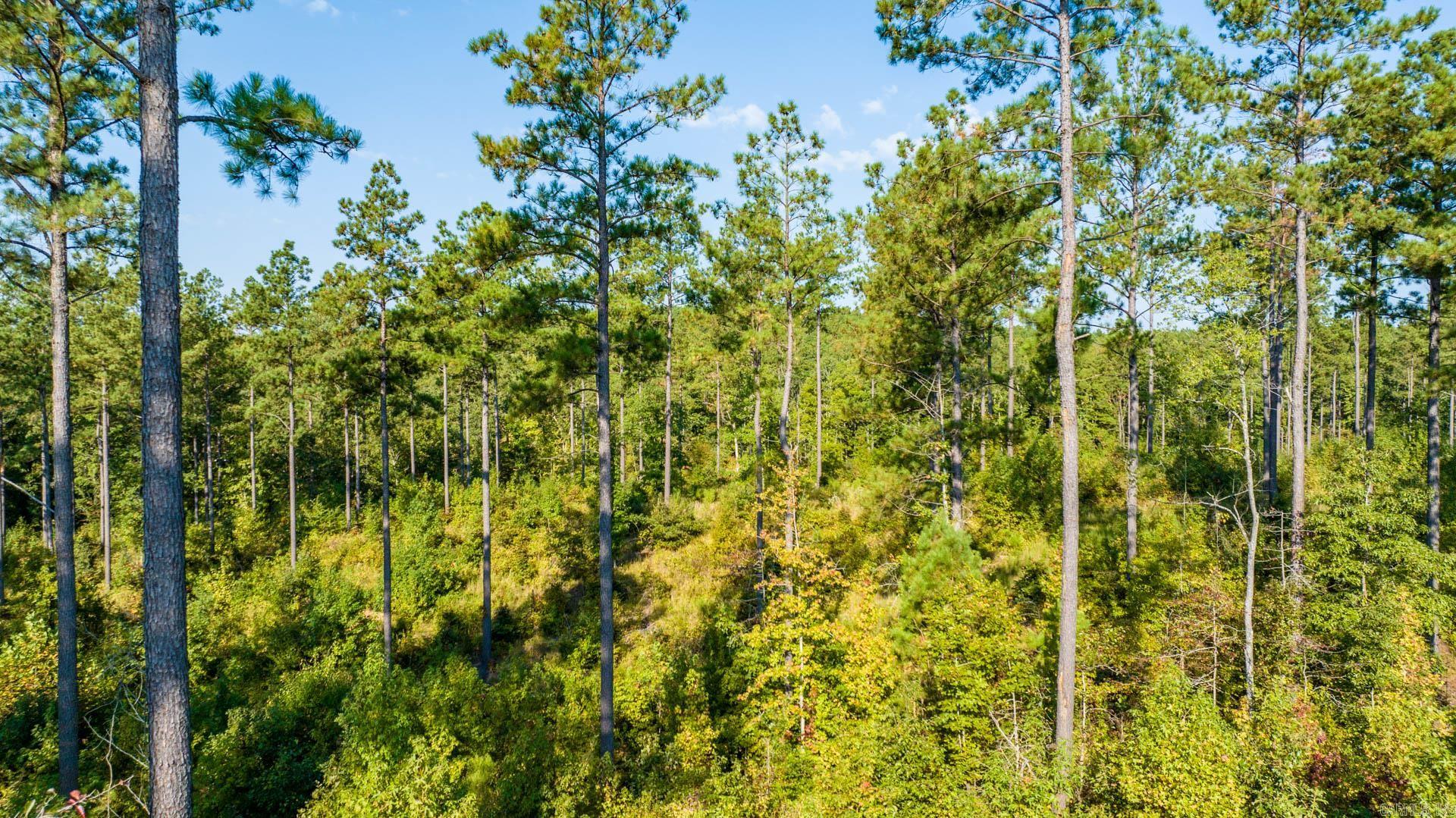 3009 Grandview  Benton, AR