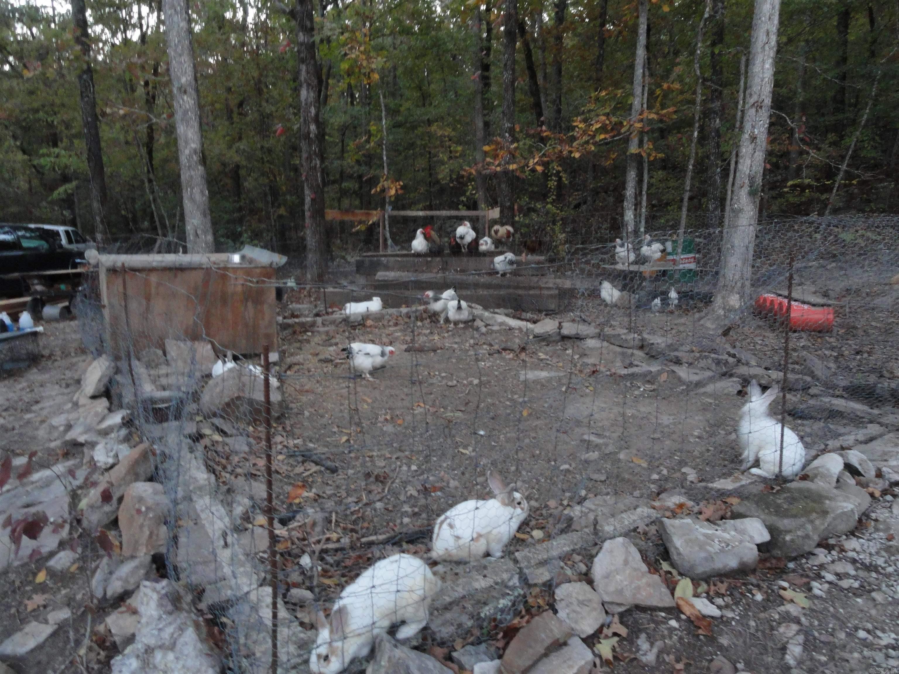 2340 Shady Grove  Leslie, AR