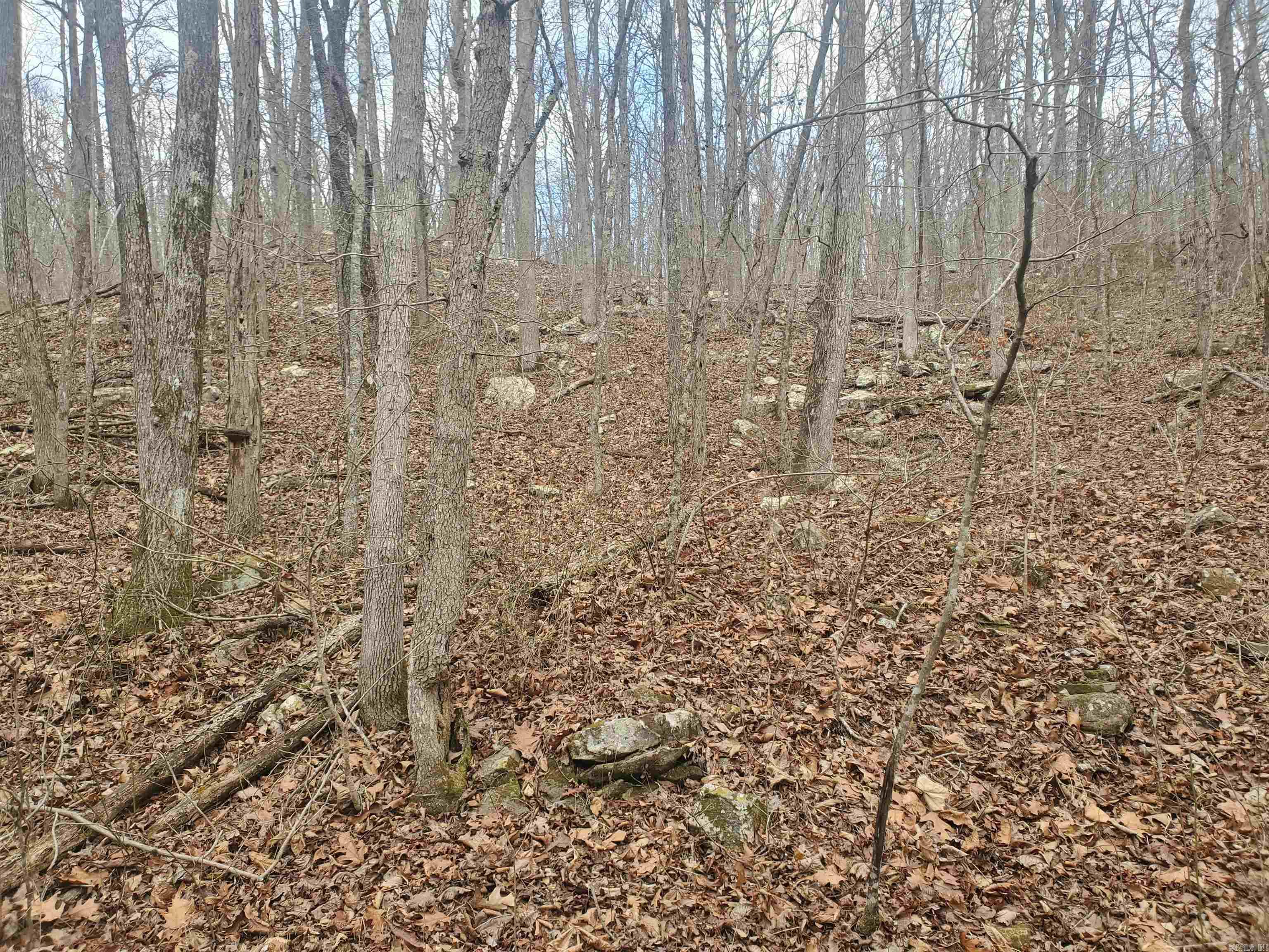 2340 Shady Grove  Leslie, AR