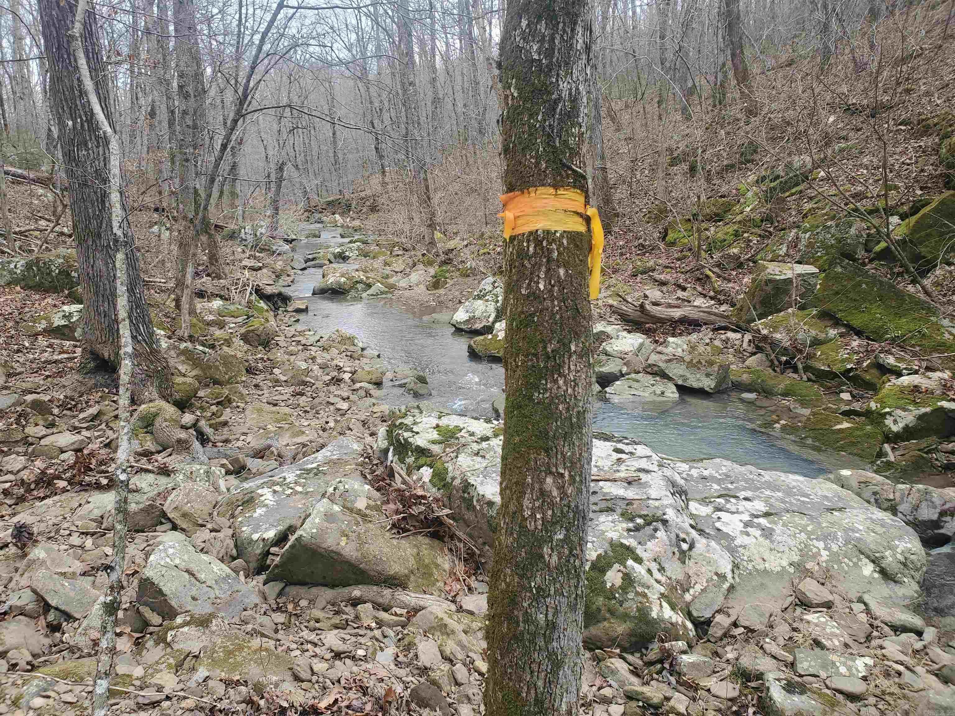 2340 Shady Grove  Leslie, AR