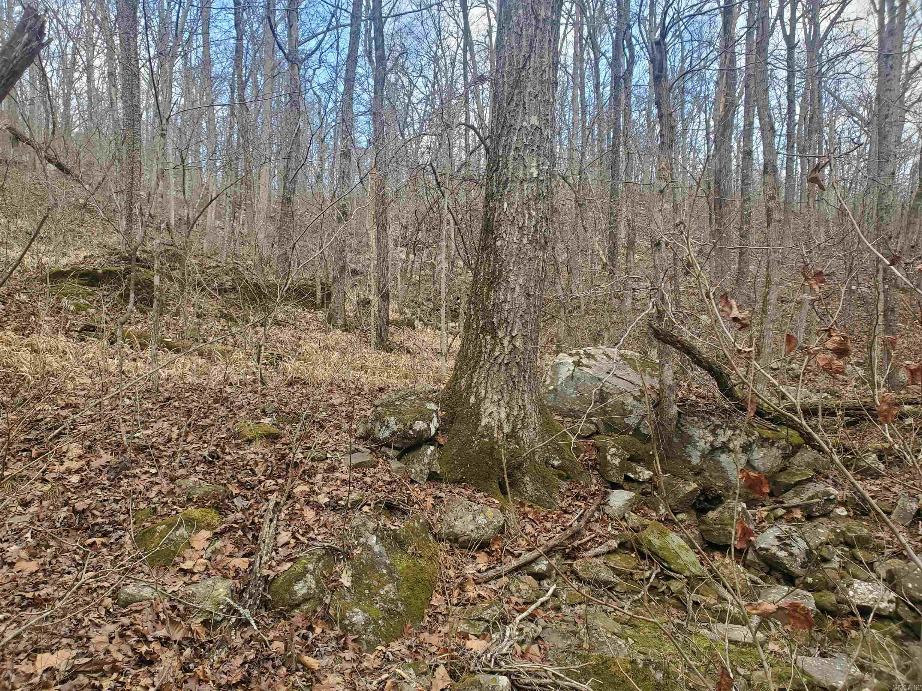 2340 Shady Grove  Leslie, AR